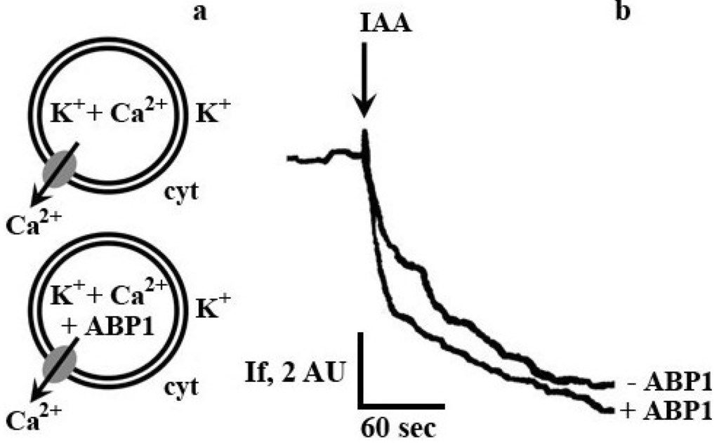 Plants 03 00209 g003 1024
