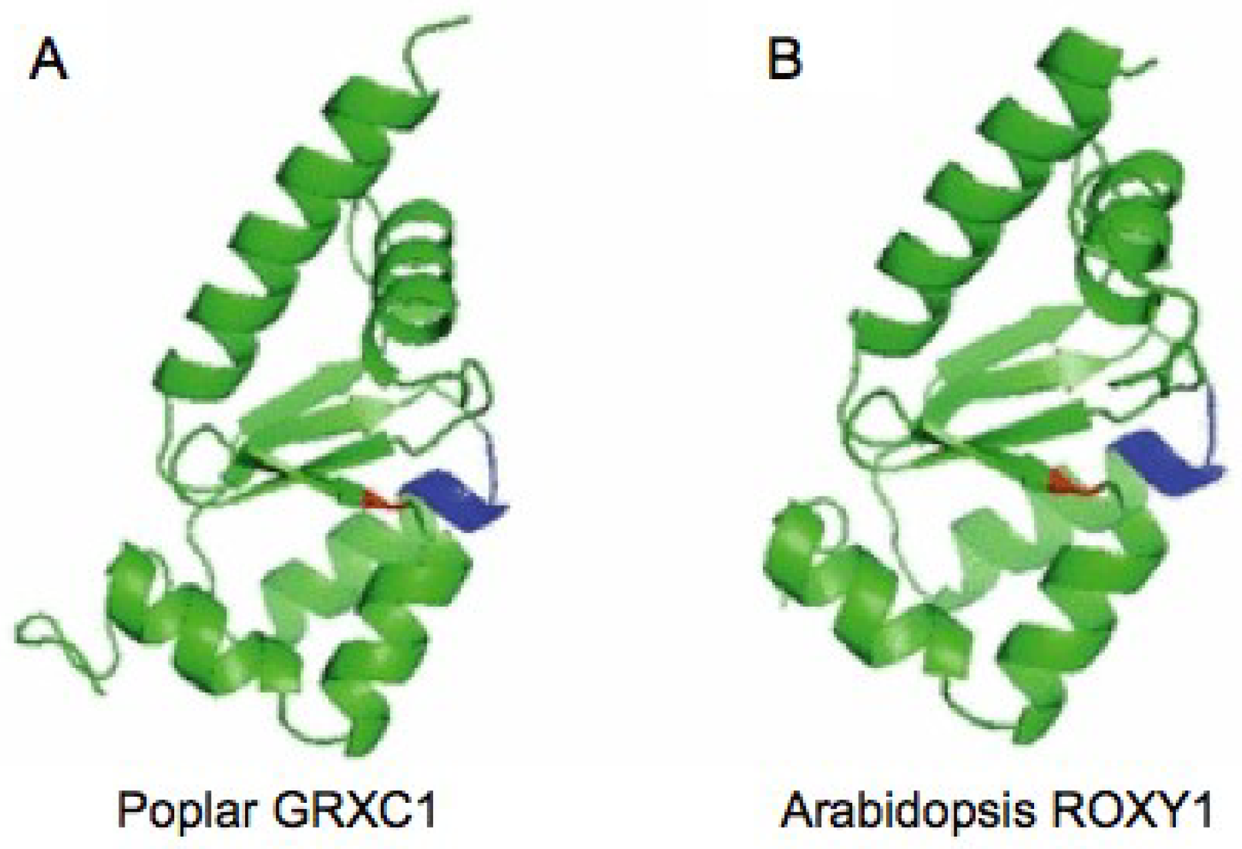 Plants 03 00559 g002