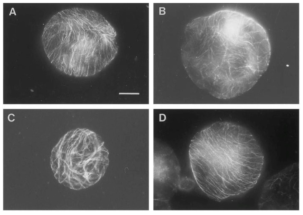 Plants 04 00044 g001 1024