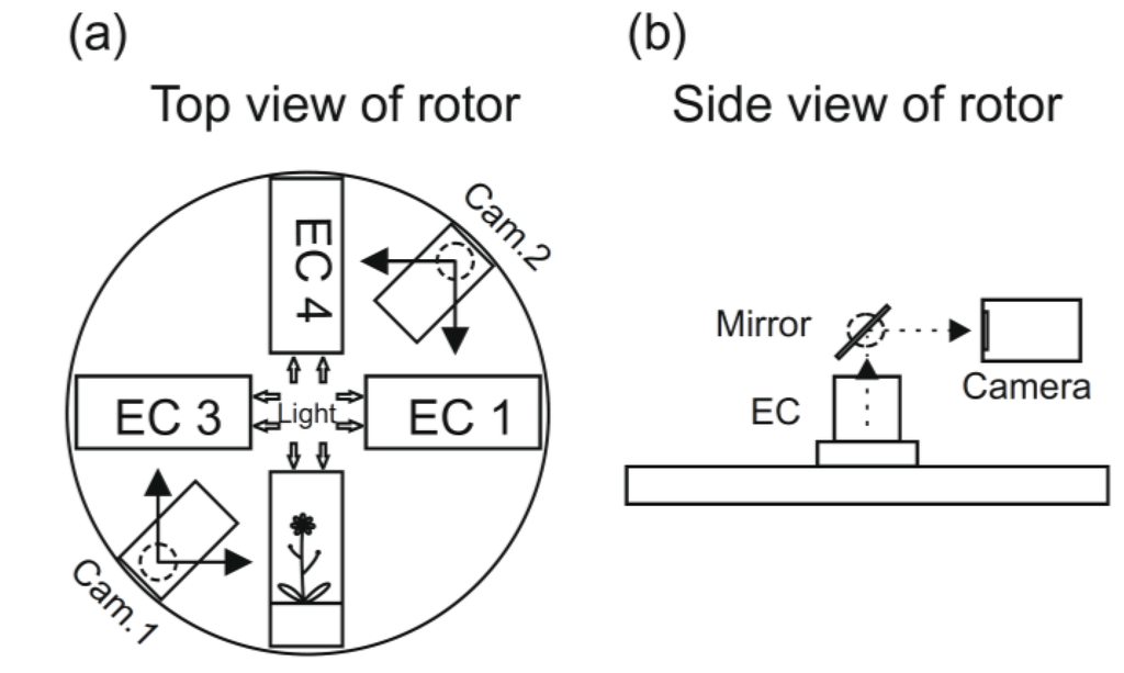 Plants 04 00044 g003 1024