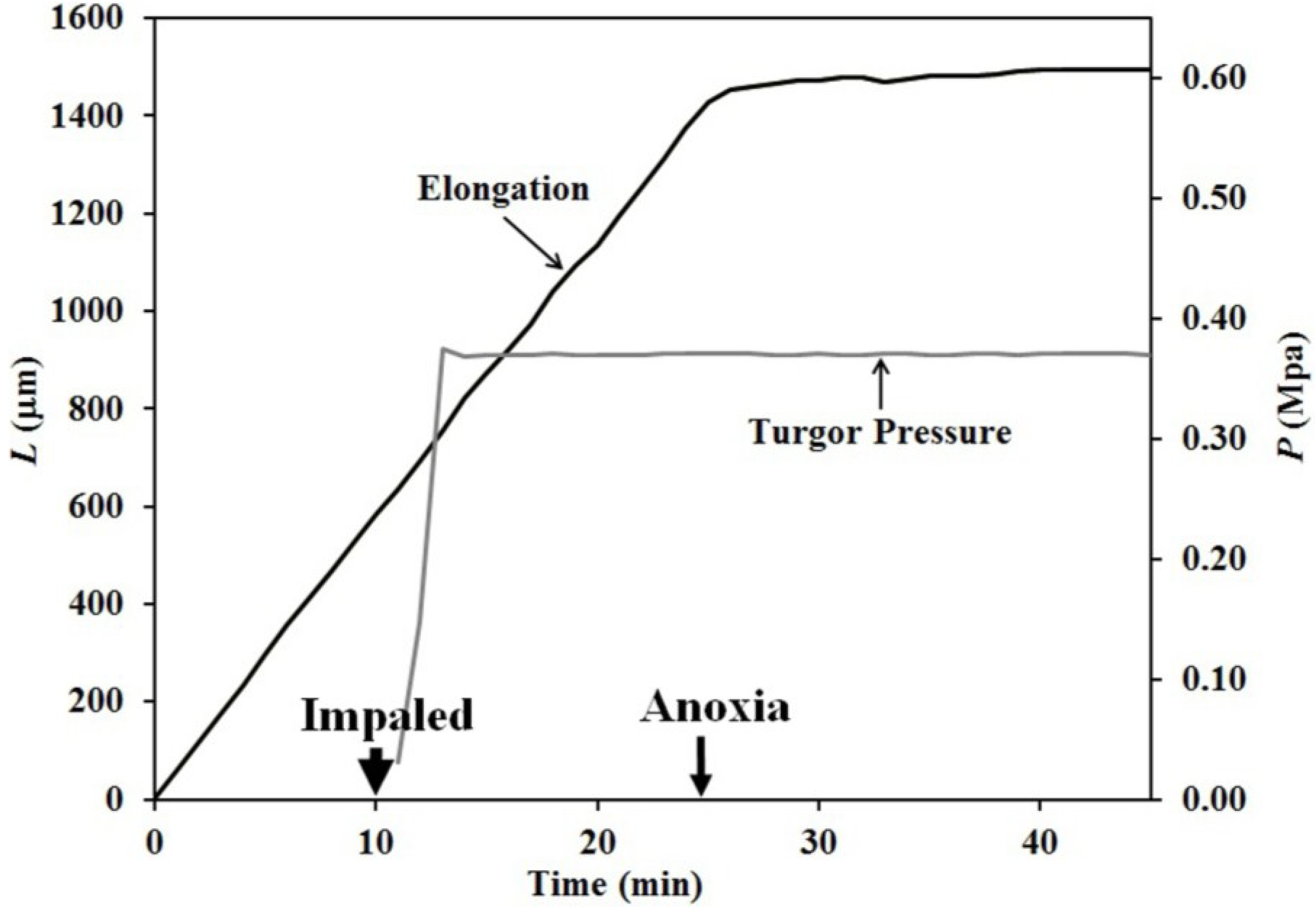 Plants 04 00063 g003