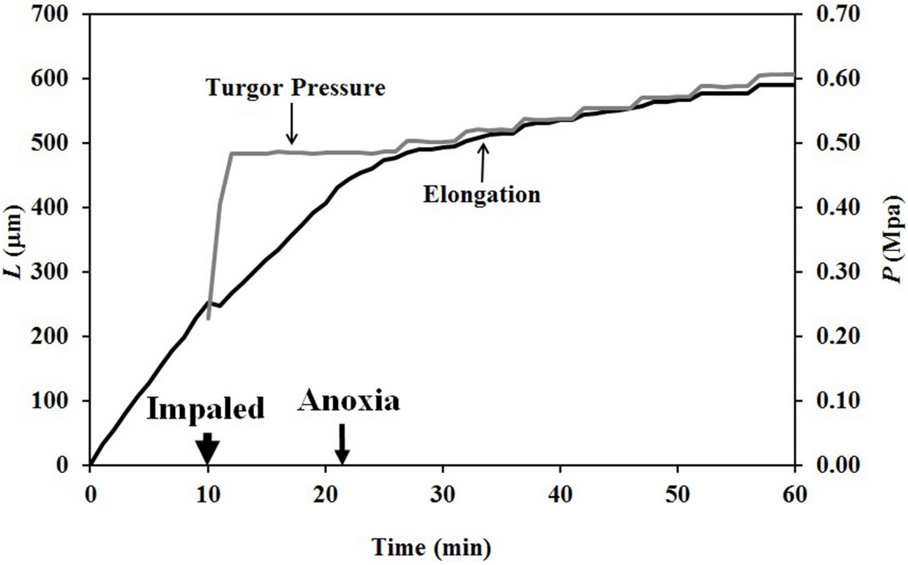 Plants 04 00063 g004