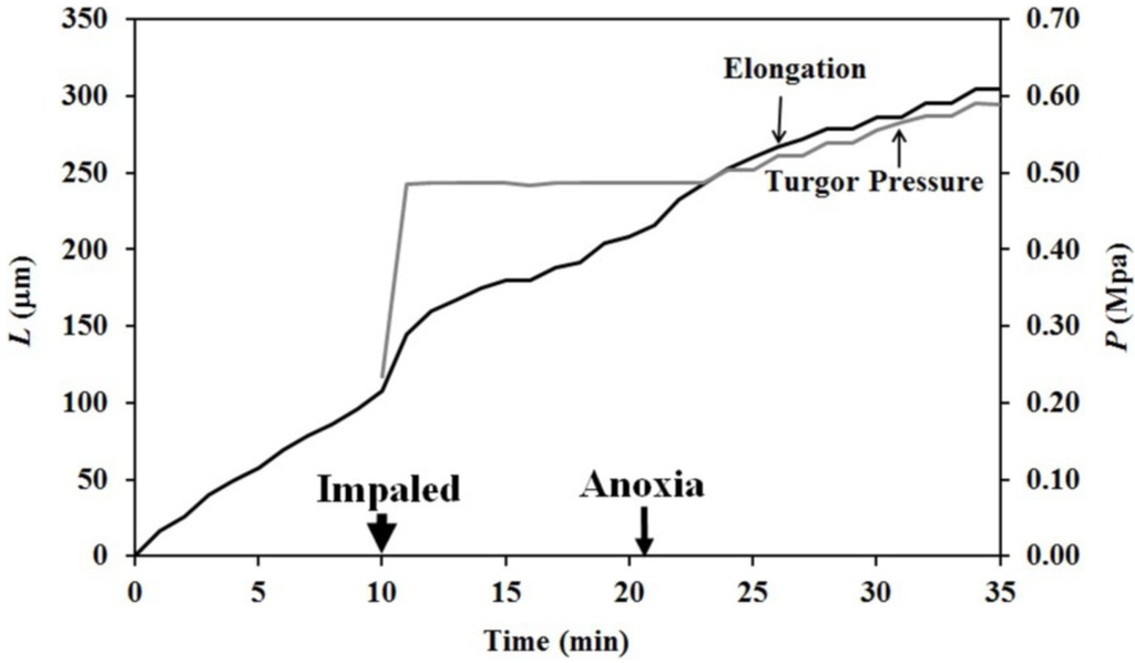 Plants 04 00063 g005 1024