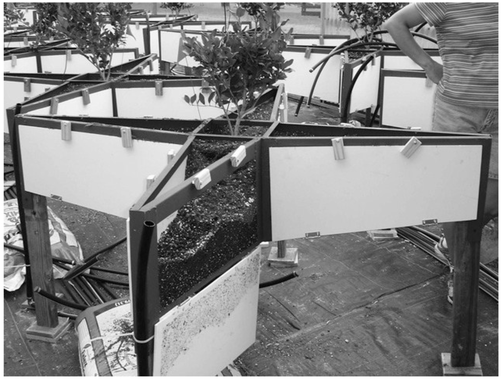 Plants 04 00369 g001 1024