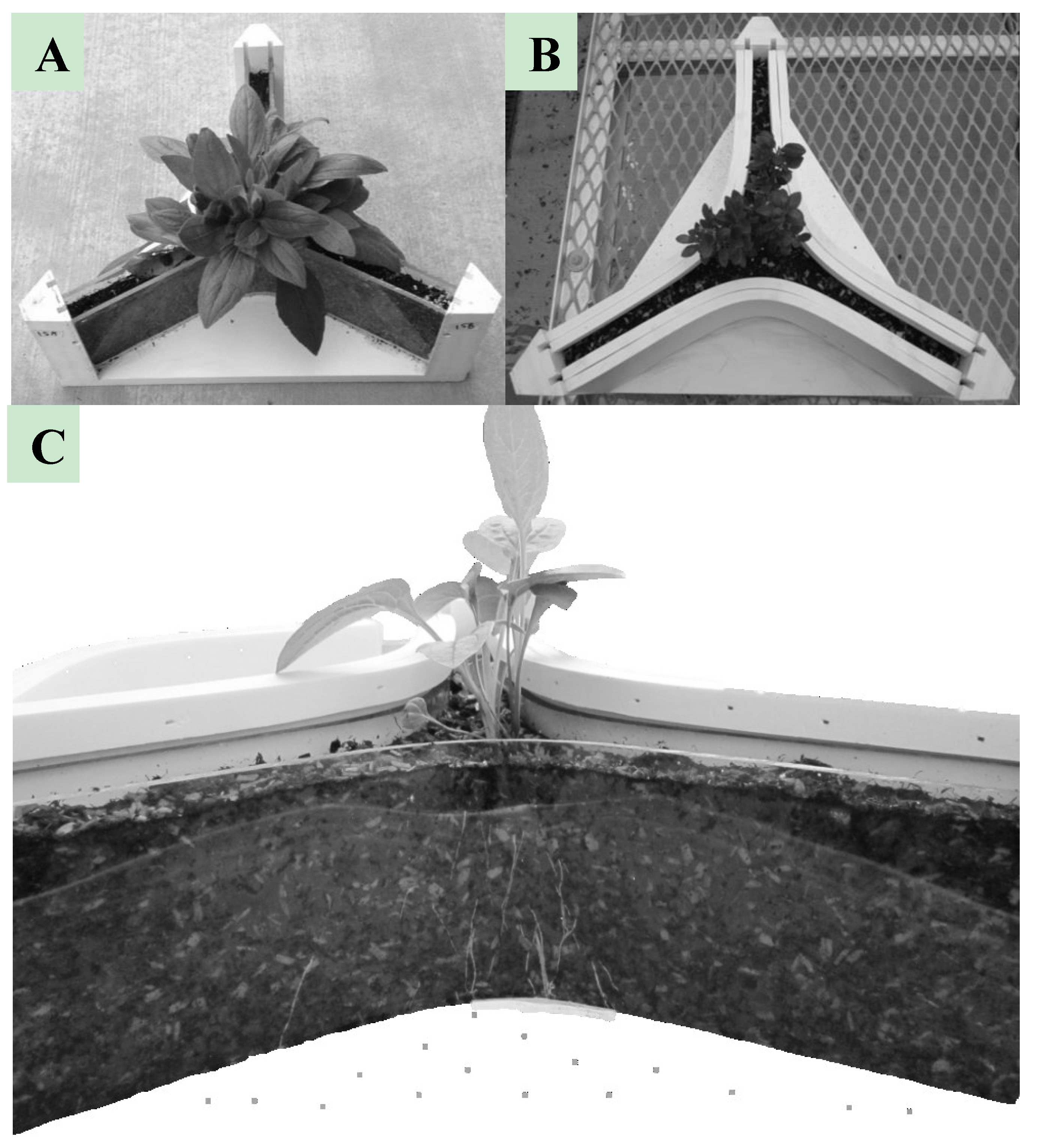 Plants 04 00369 g002