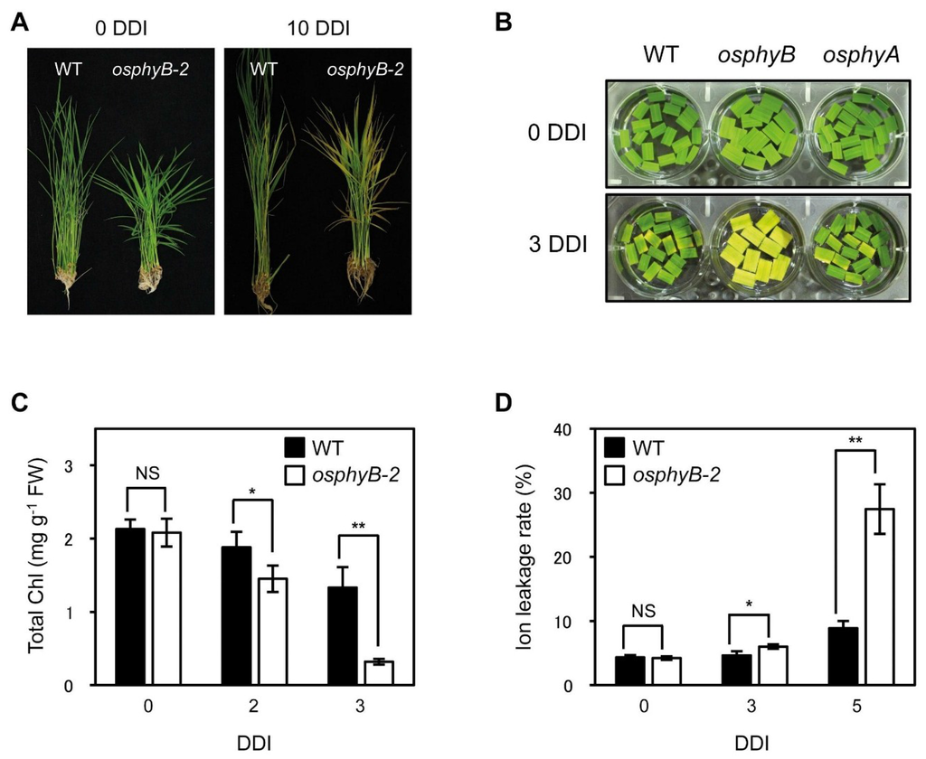 Plants 04 00644 g001 1024