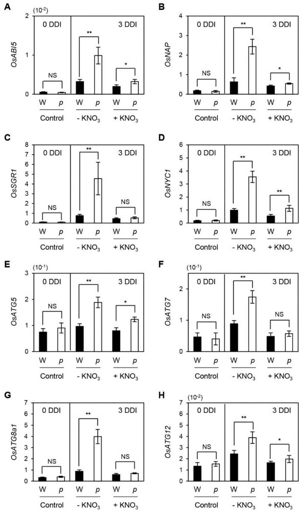 Plants 04 00644 g005 1024
