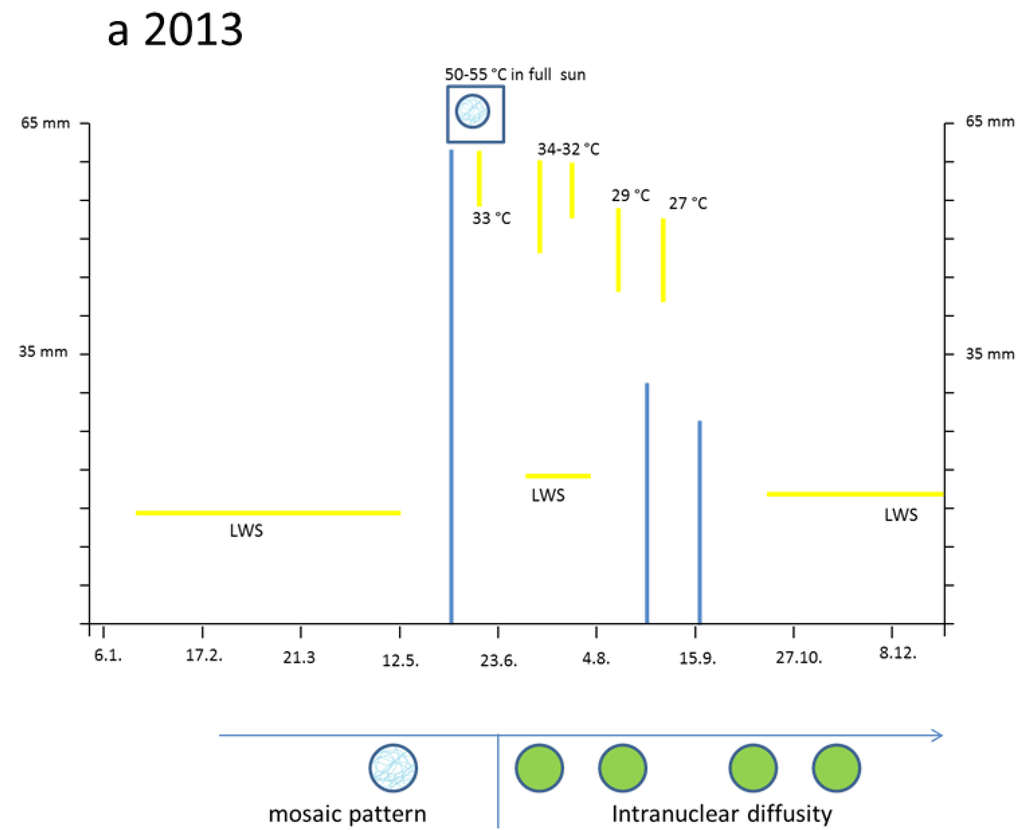 Plants 04 00710 g001a 1024