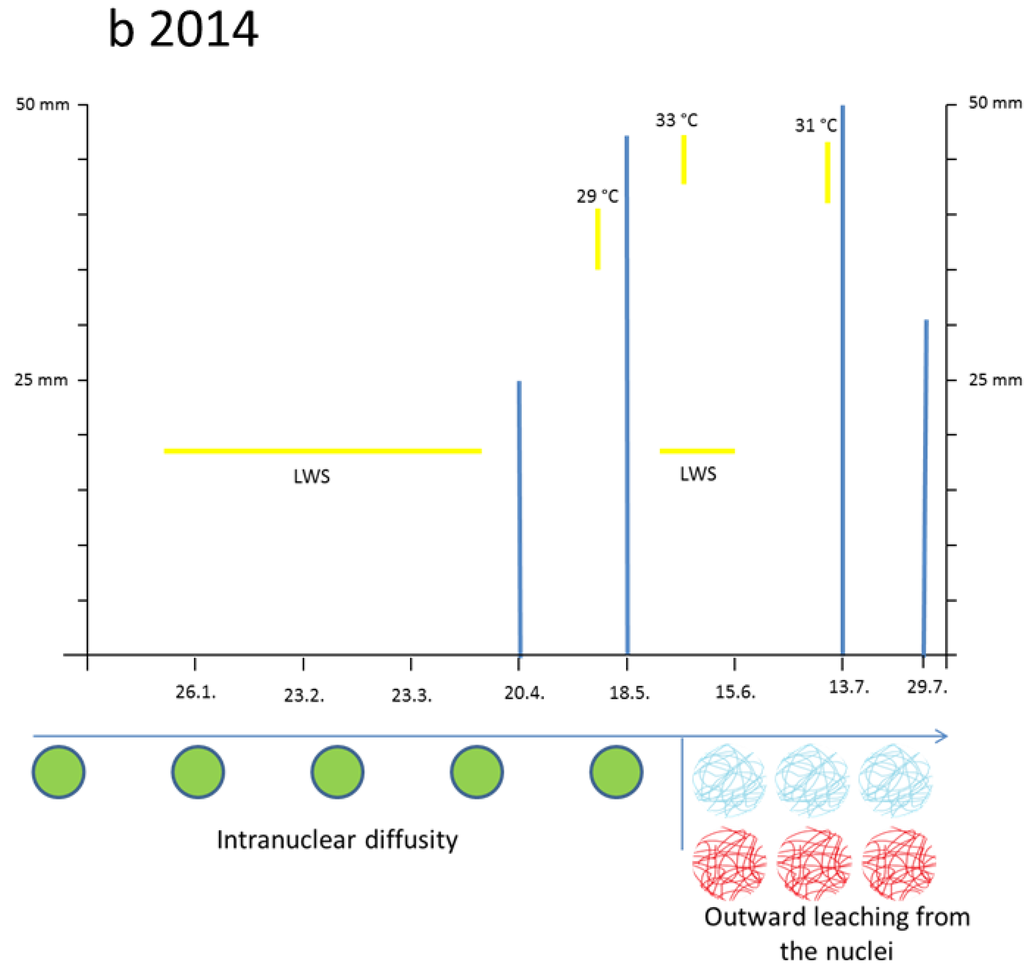 Plants 04 00710 g001b 1024