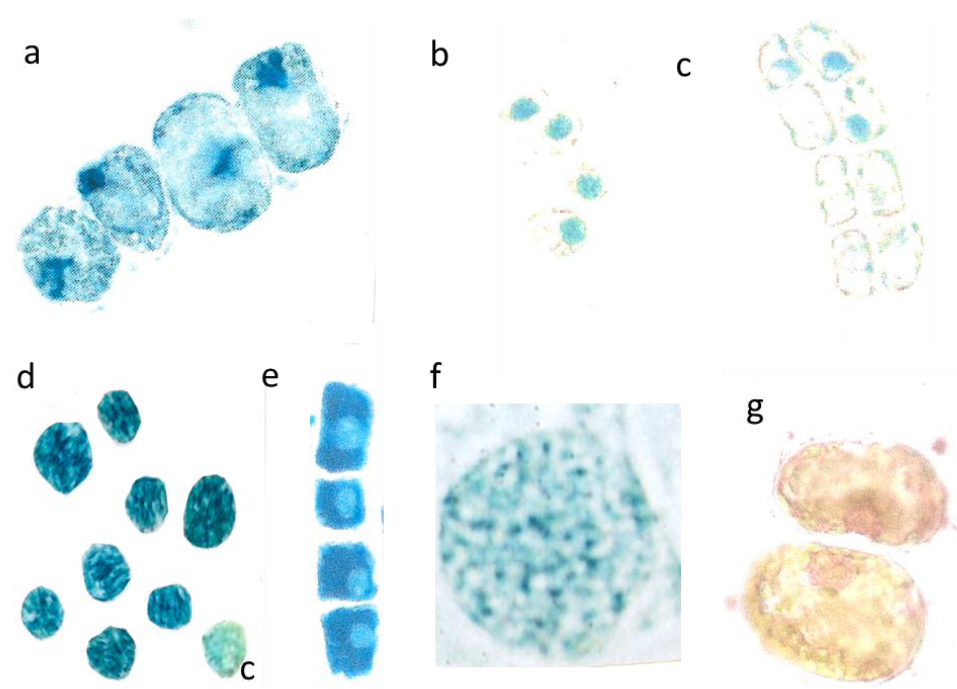 Plants 04 00710 g005