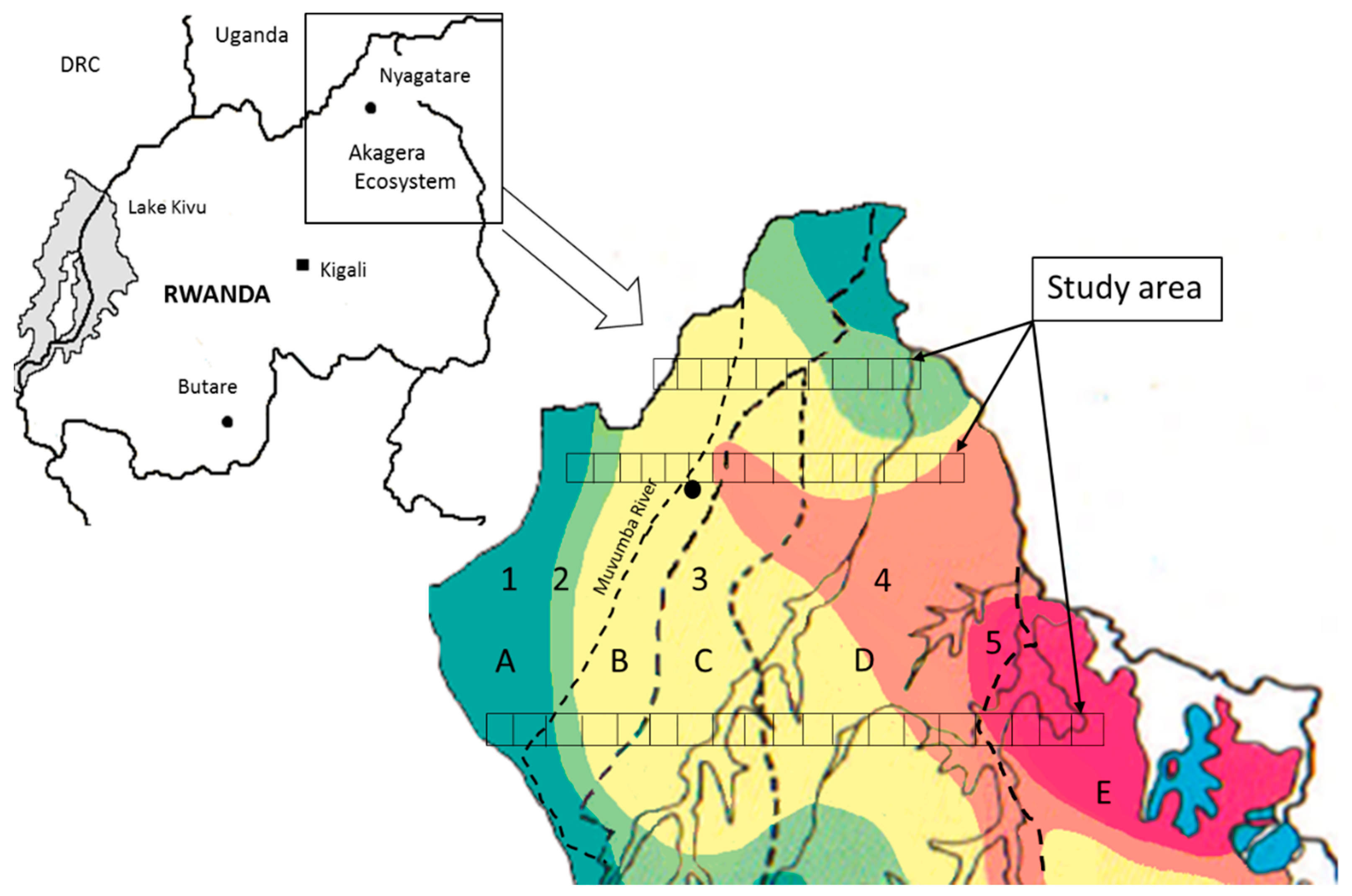 Plants 06 00019 g003