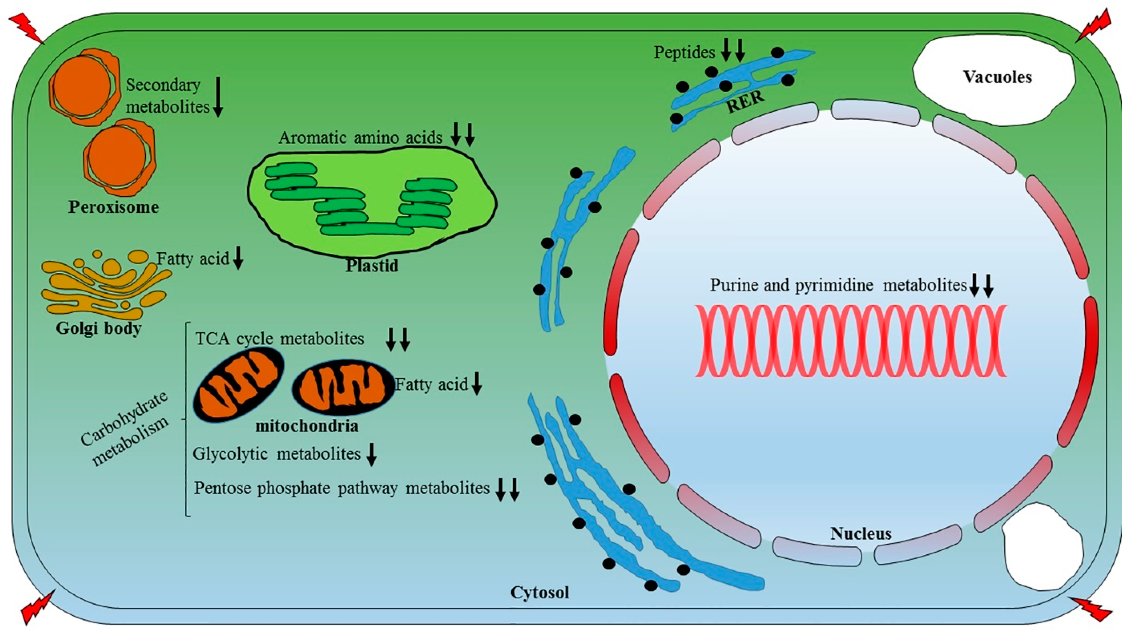 Plants 06 00021 g008