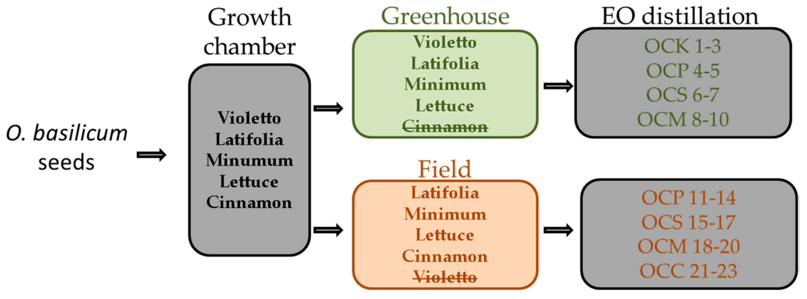 Plants 06 00041 g005