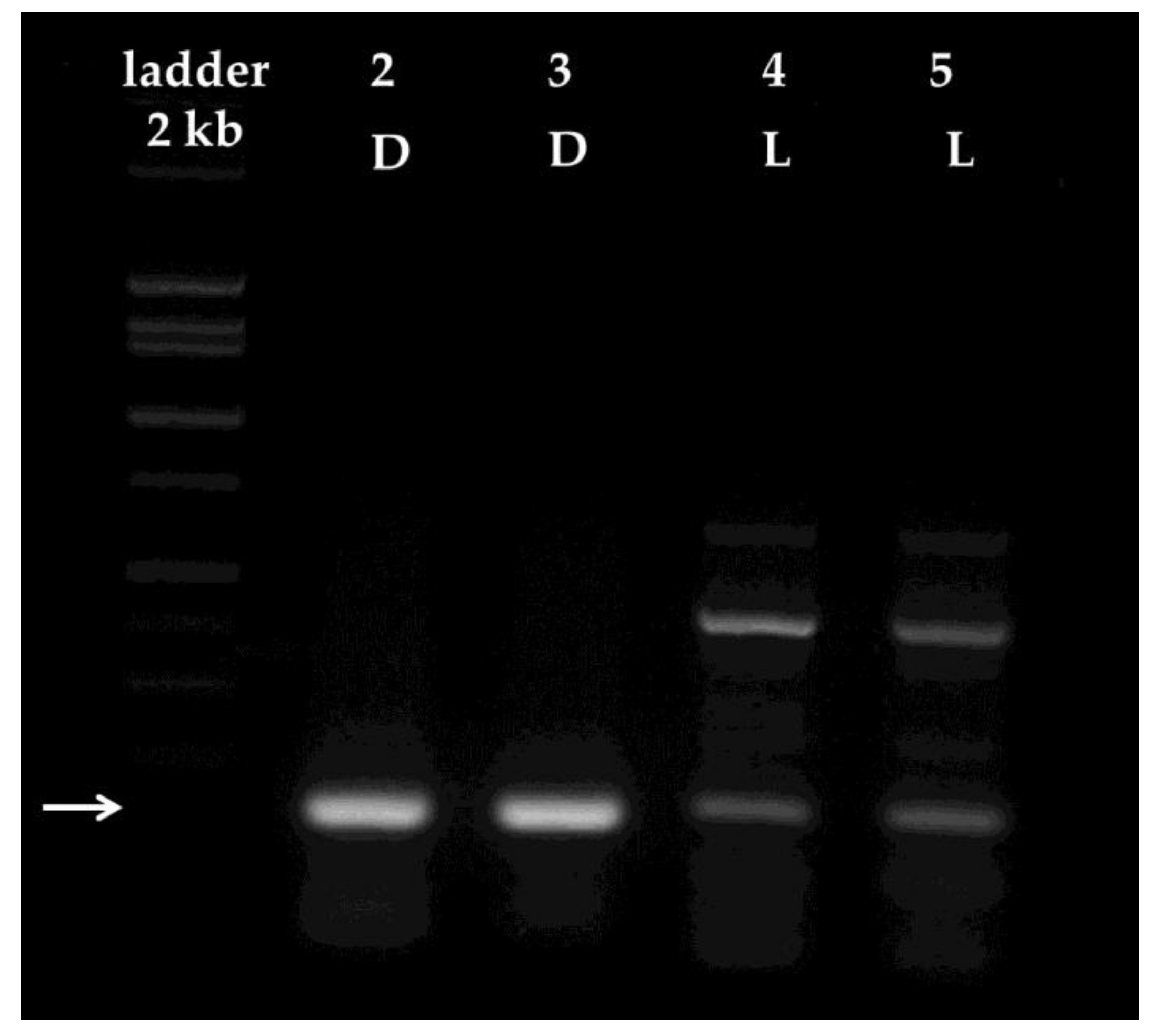 Plants 06 00052 g005