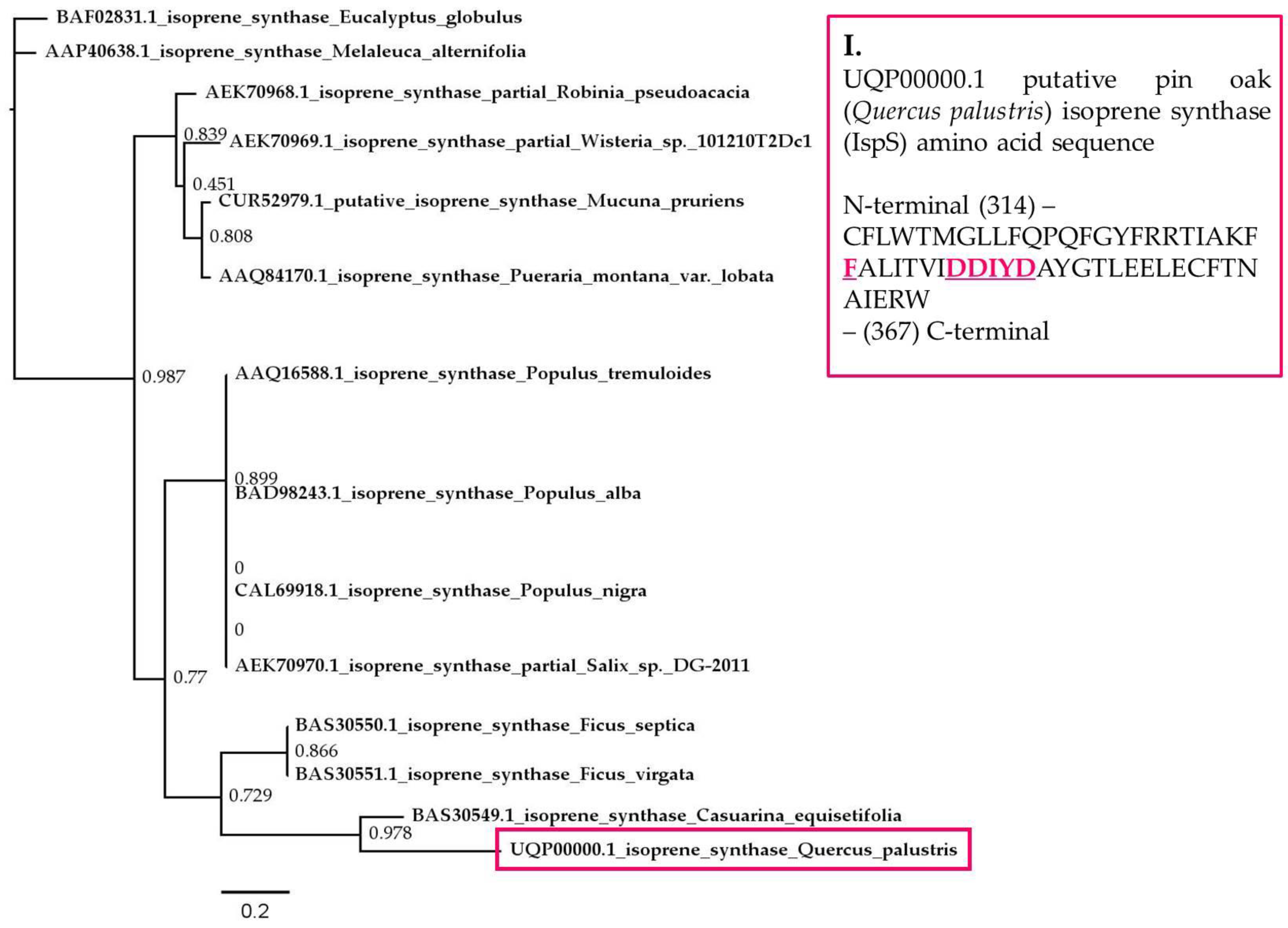 Plants 06 00052 g006