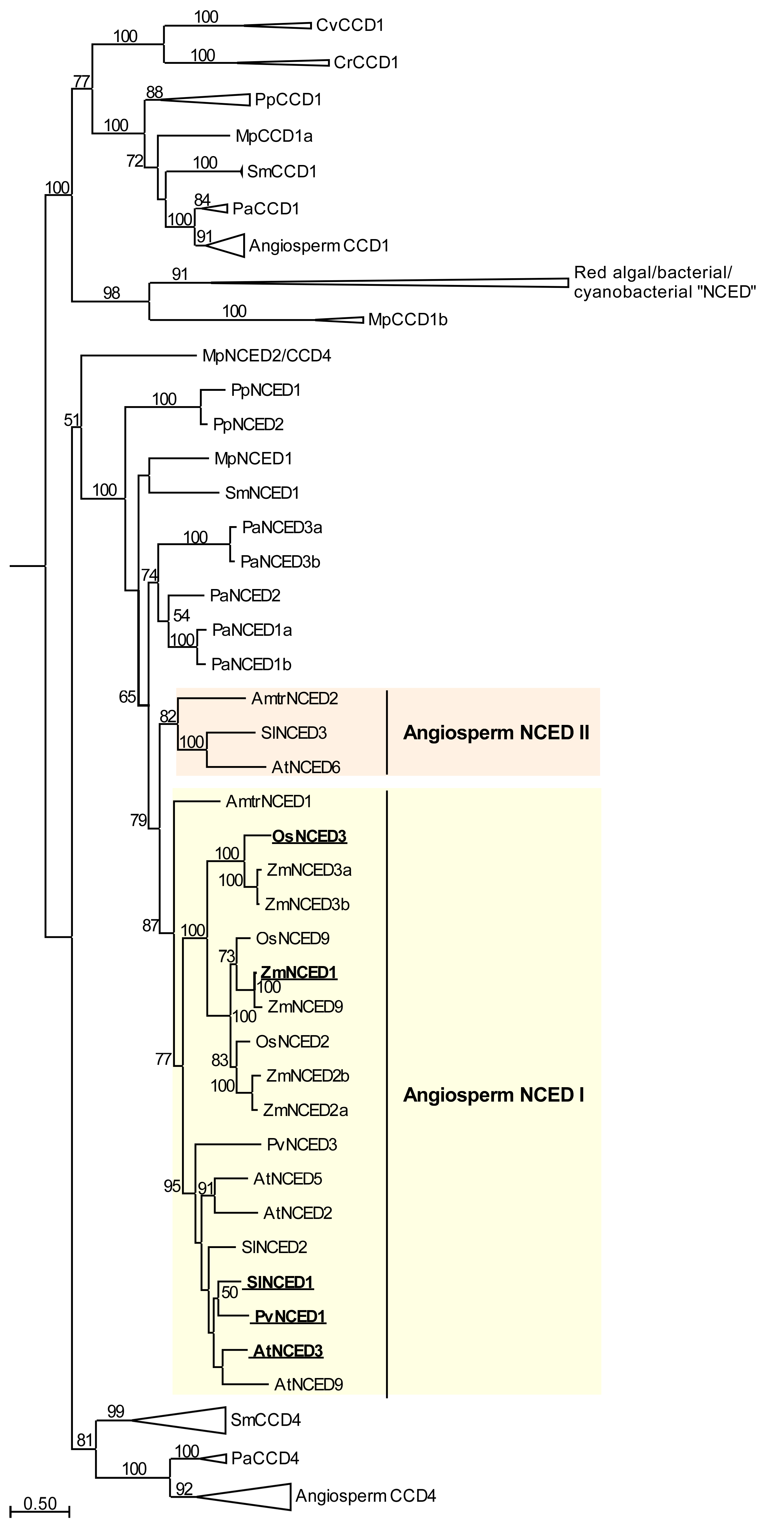 Plants 06 00054 g002