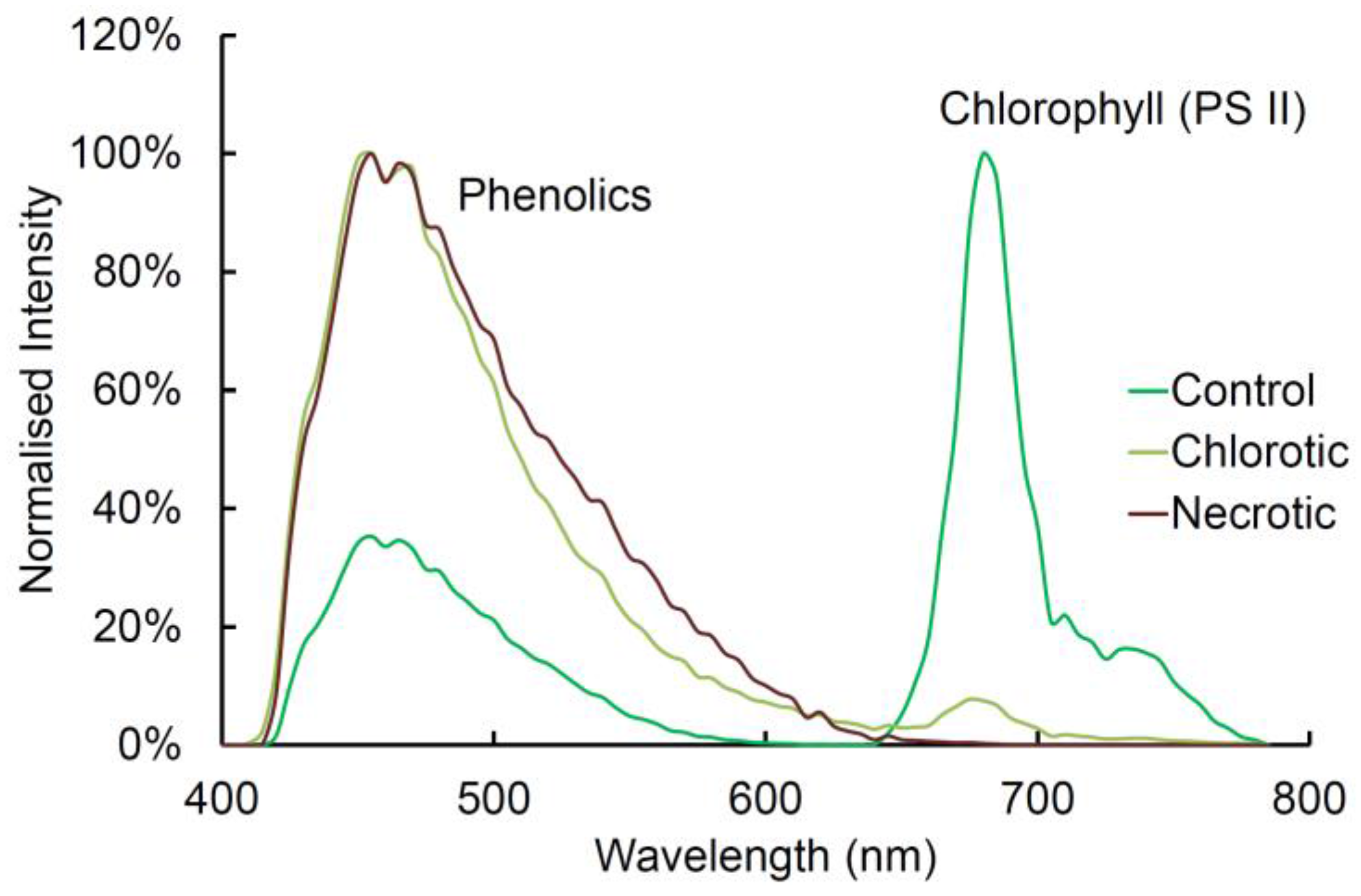 Plants 07 00010 g005
