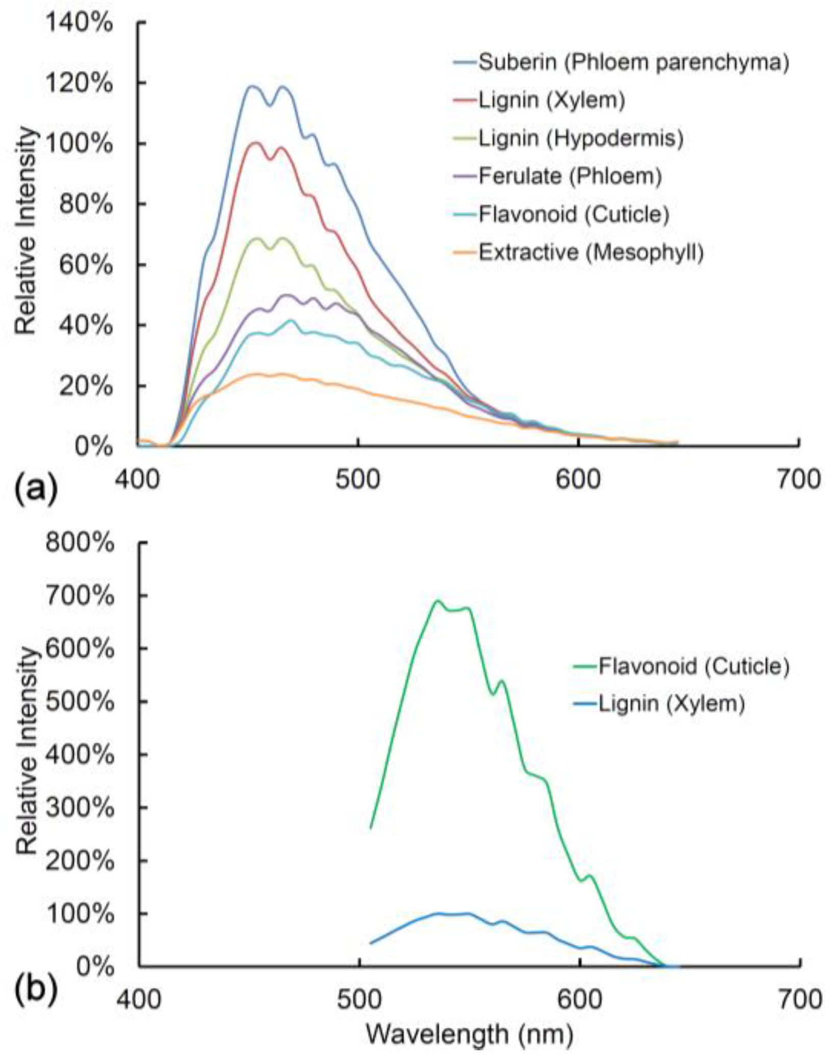Plants 07 00010 g006