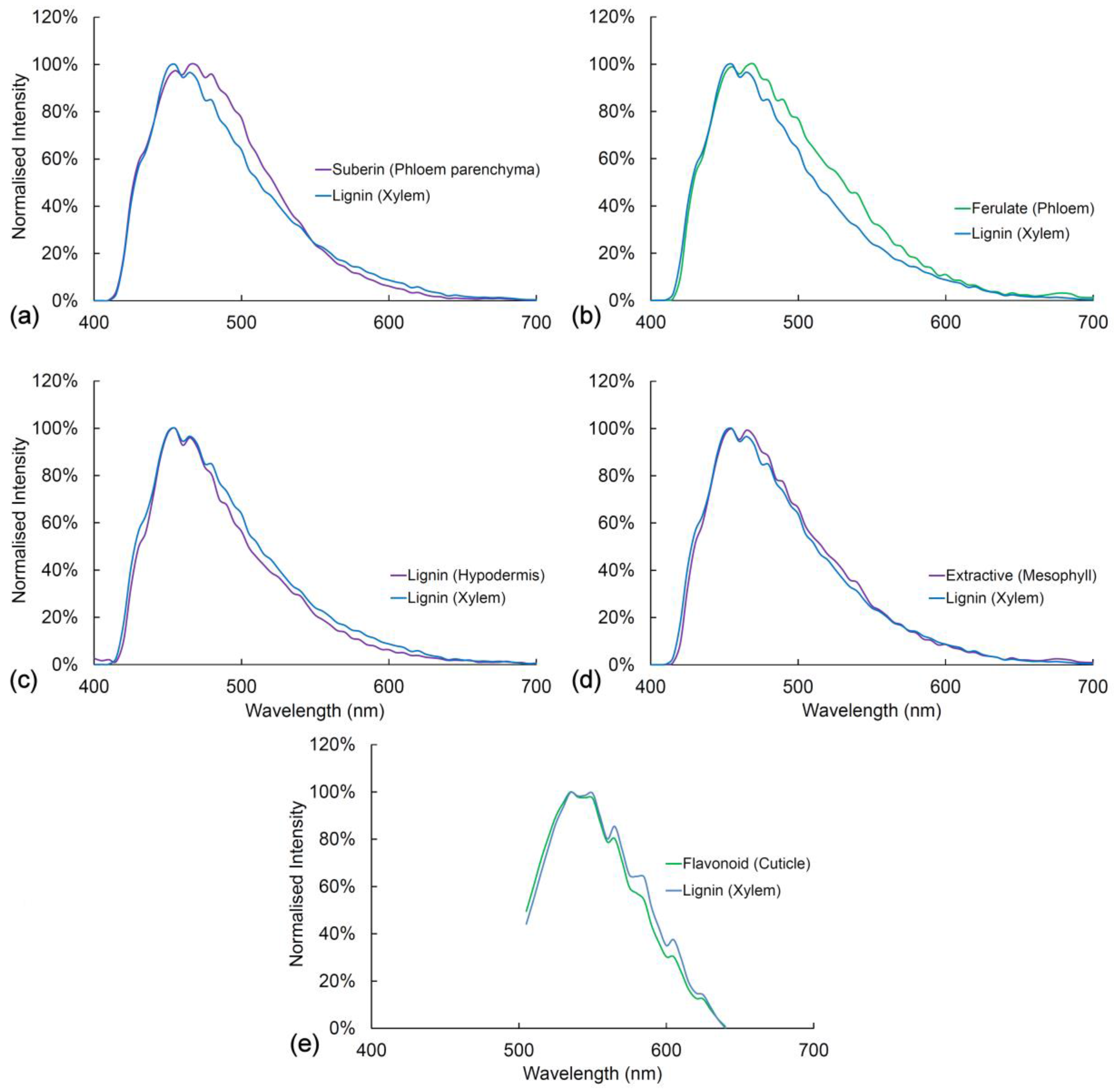 Plants 07 00010 g007