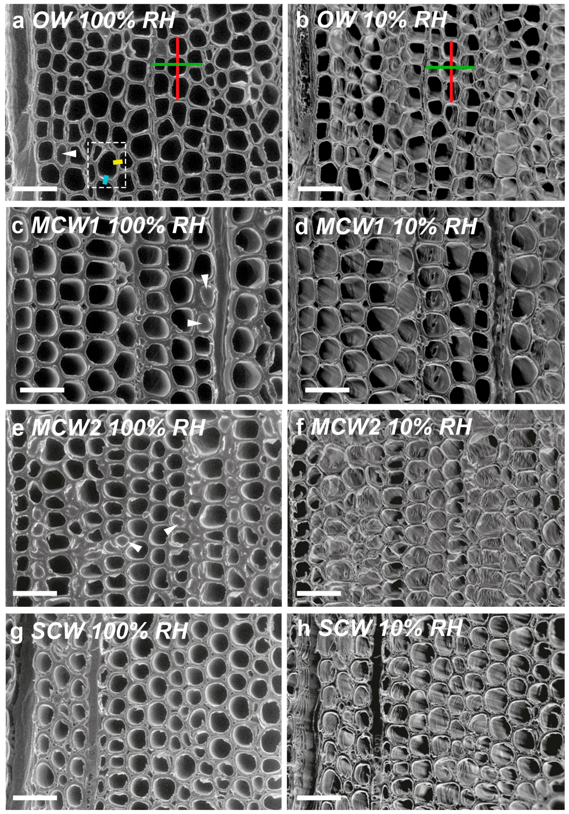 Plants 07 00014 g003