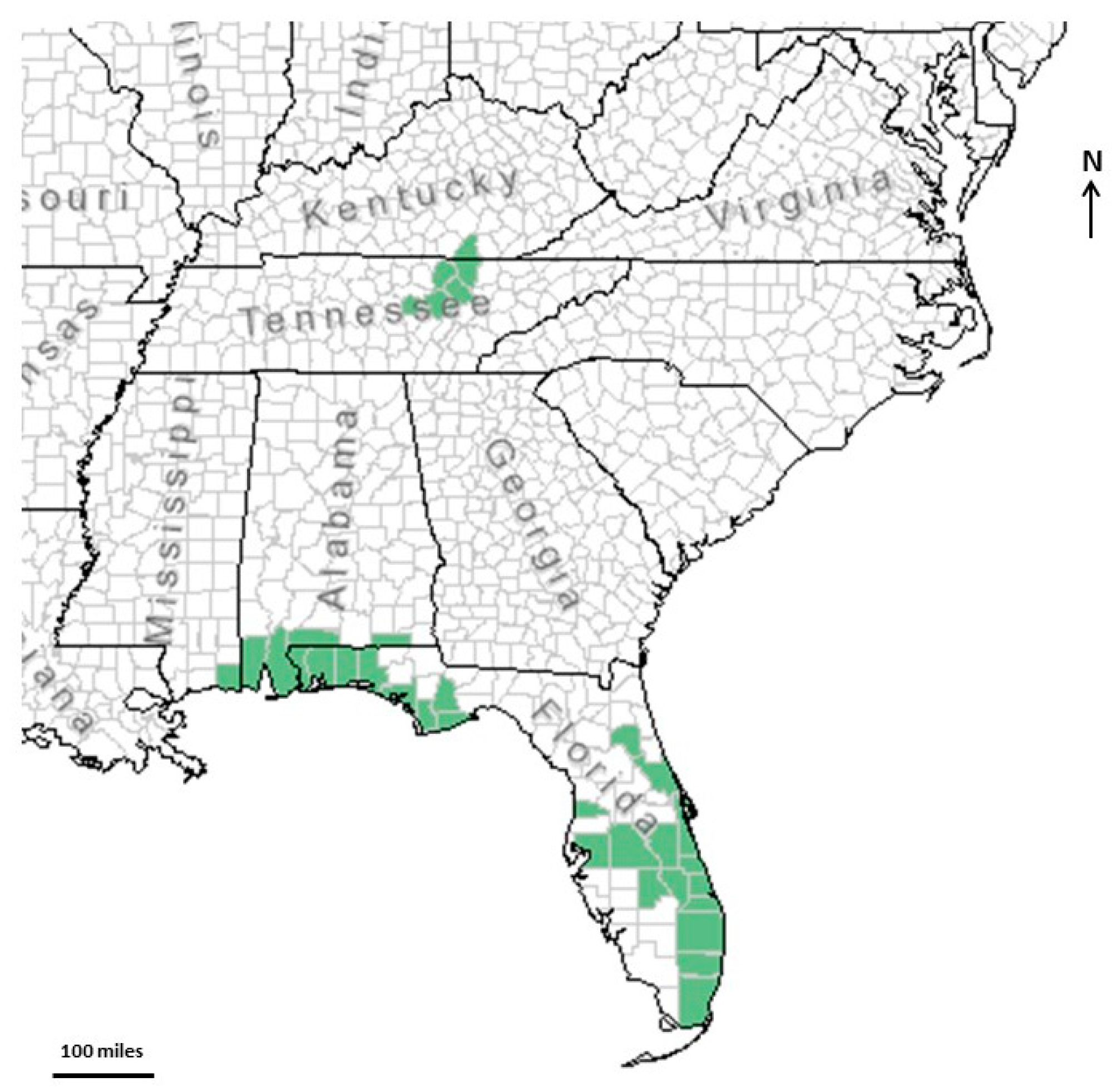 Plants 07 00019 g001