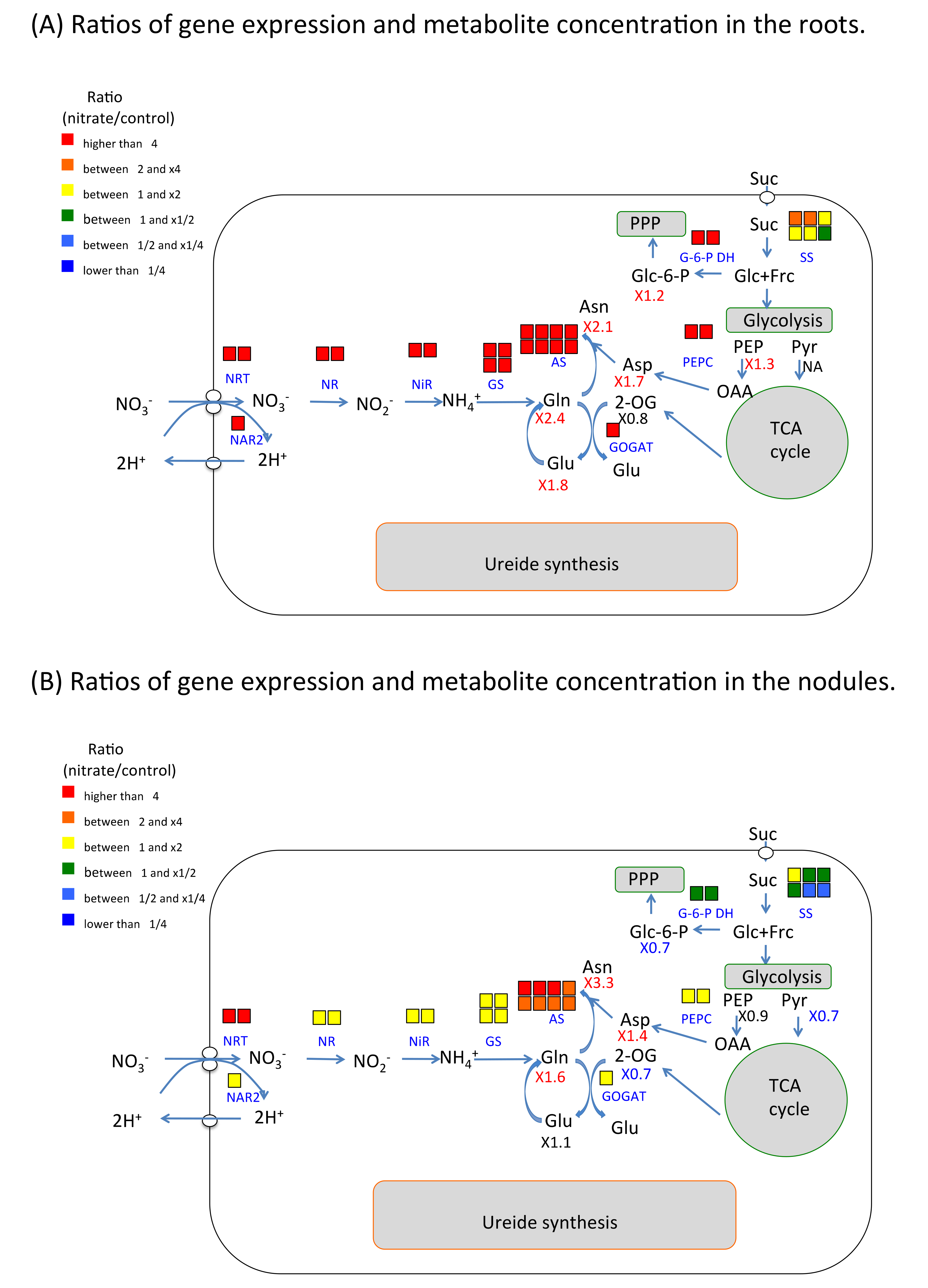 Plants 07 00032 g003