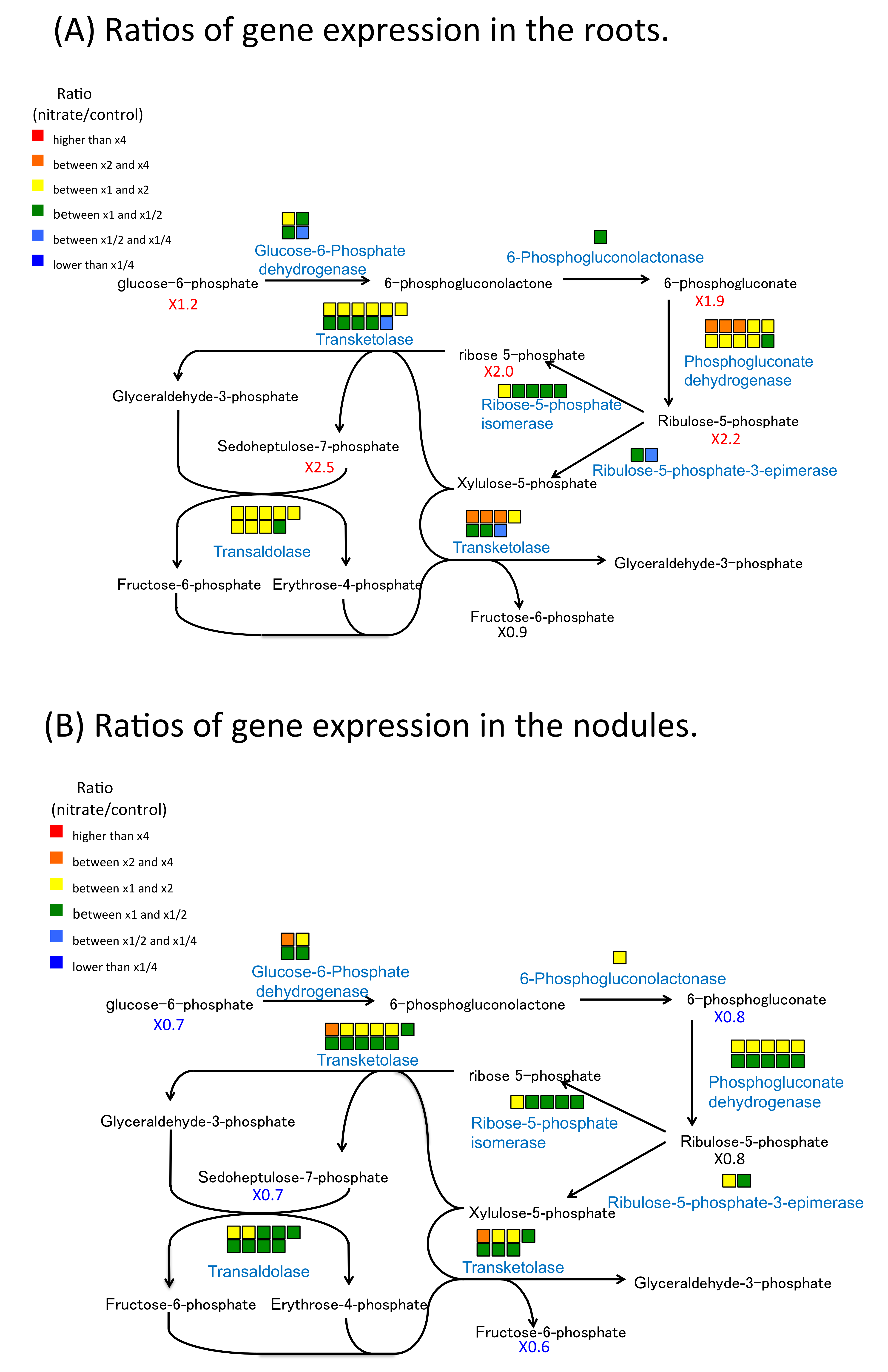 Plants 07 00032 g007