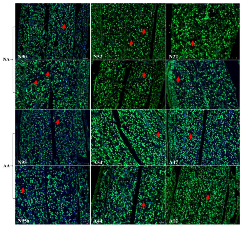 Plants 07 00034 g001