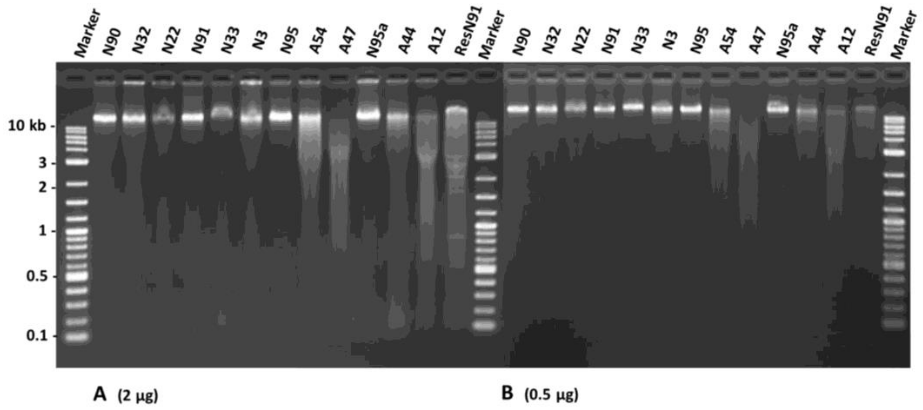 Plants 07 00034 g005