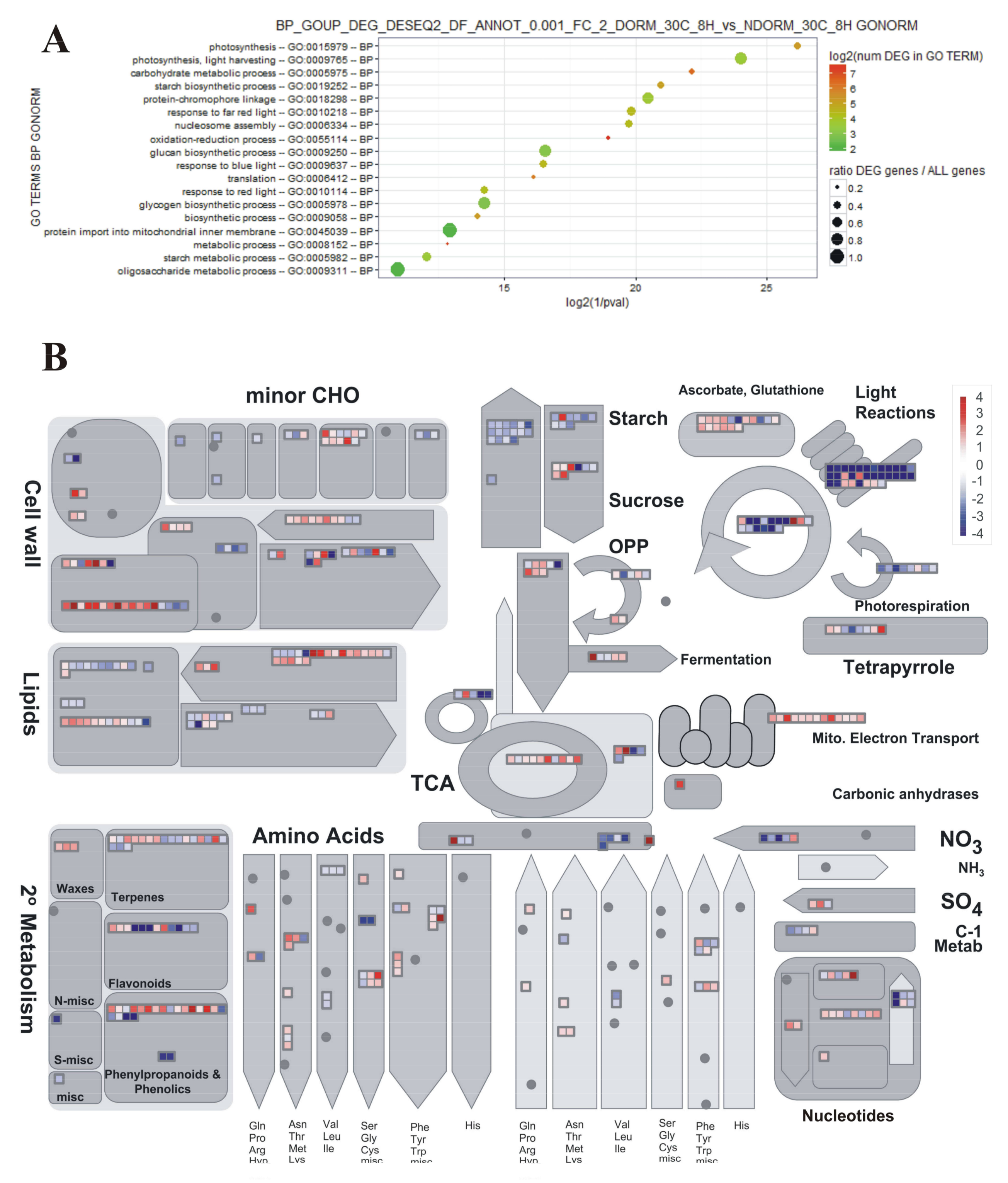 Plants 07 00035 g001