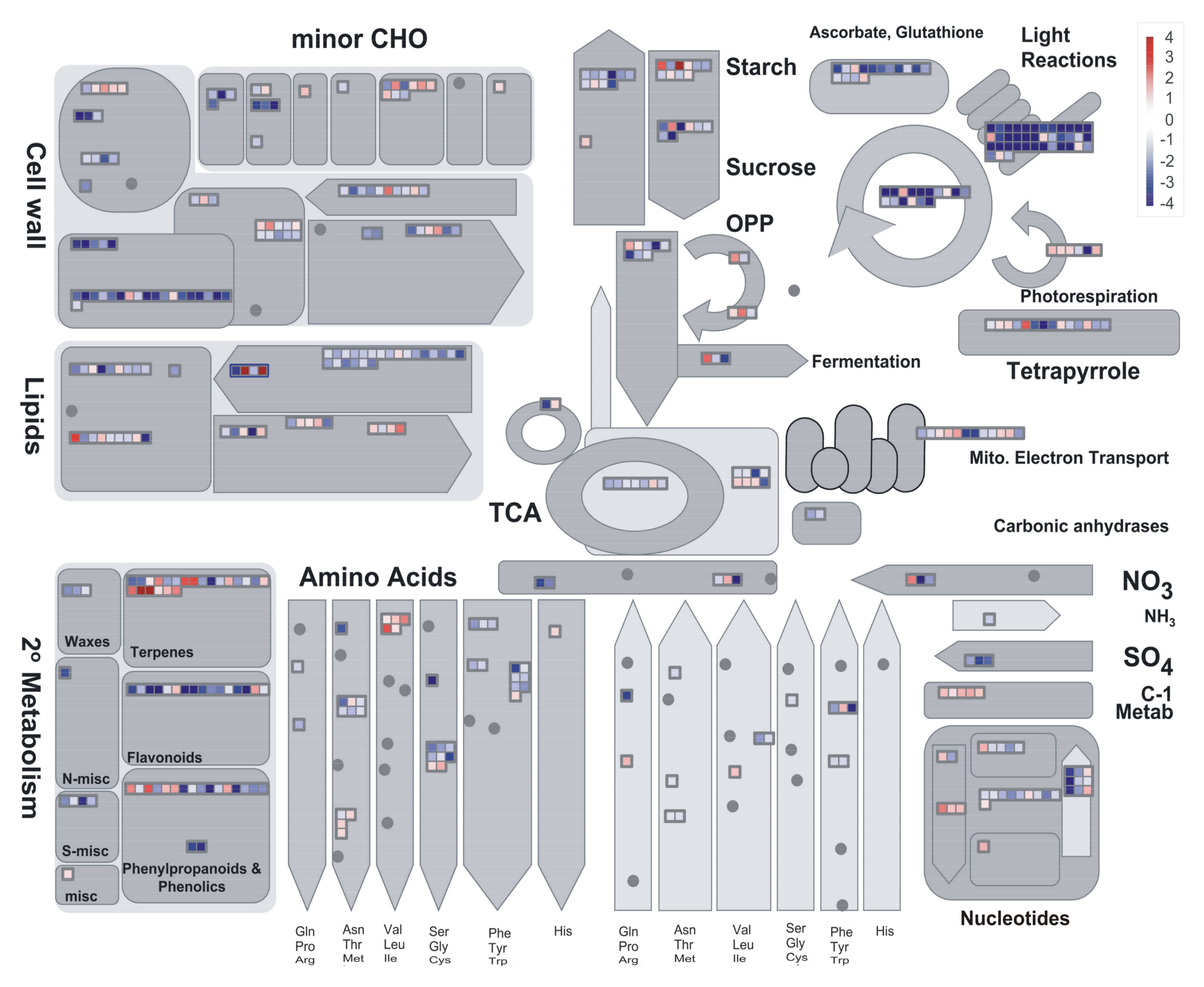 Plants 07 00035 g002