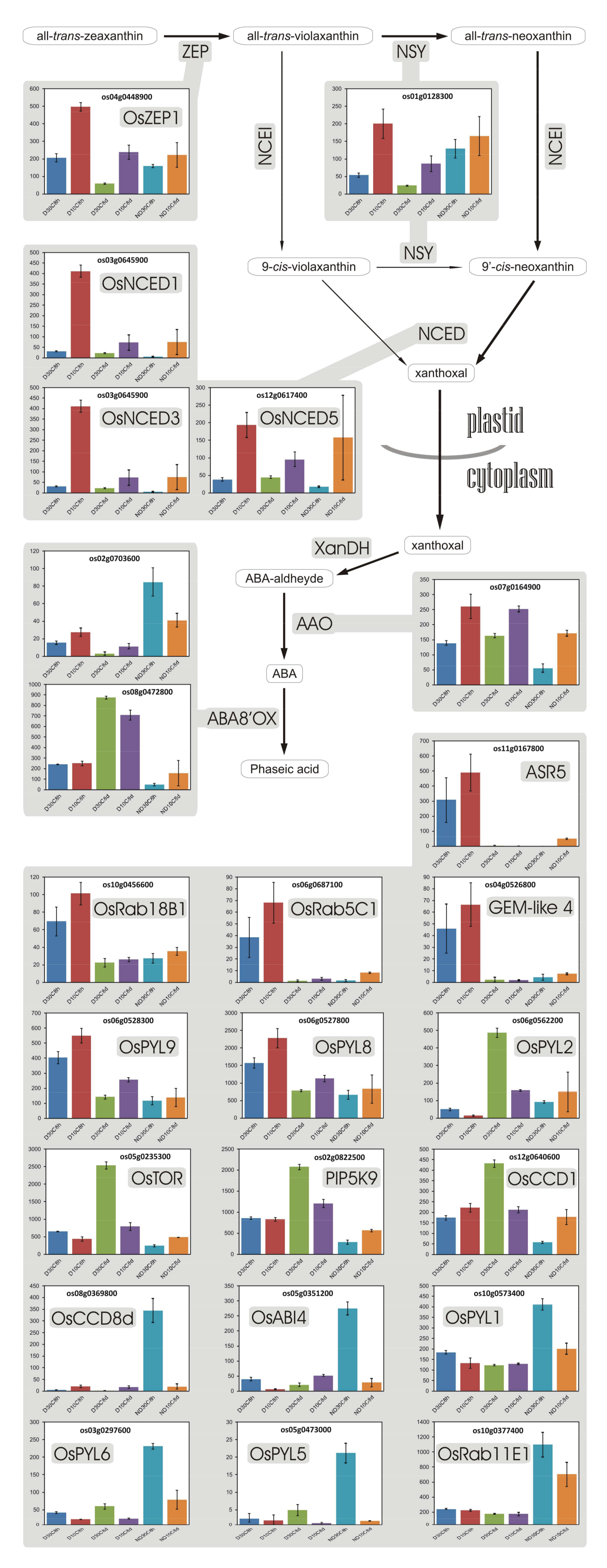 Plants 07 00035 g007