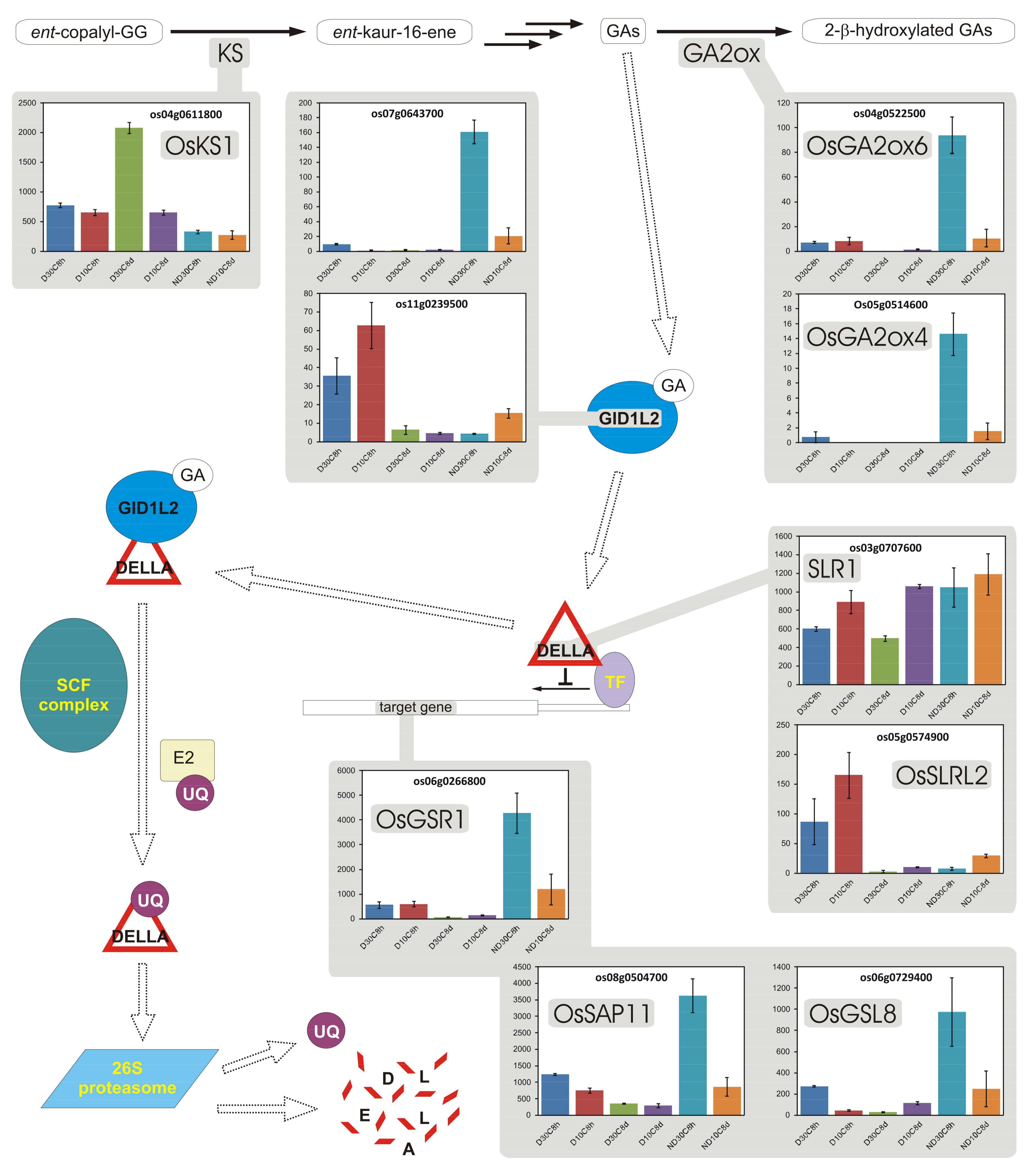 Plants 07 00035 g008
