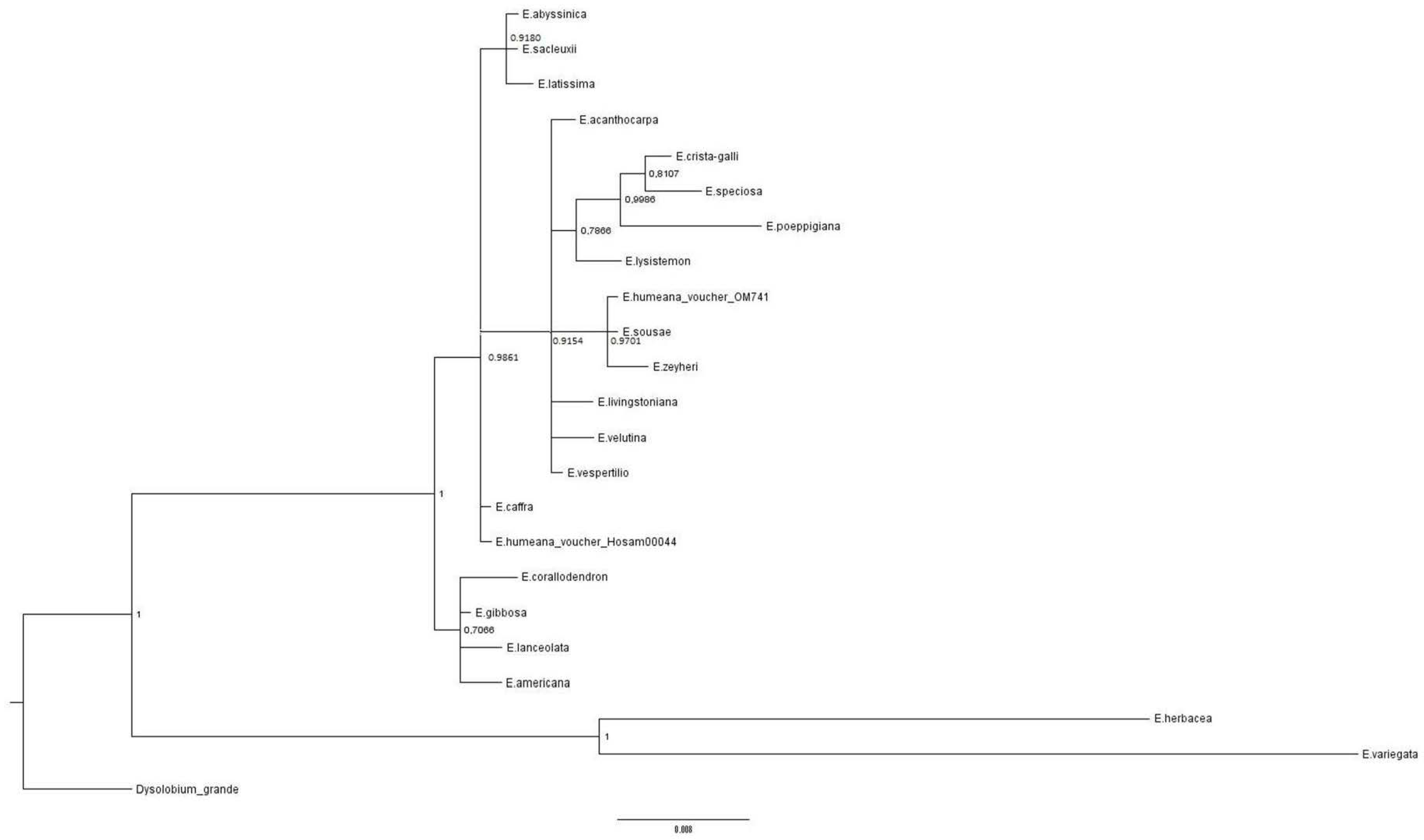 Plants 07 00043 g004