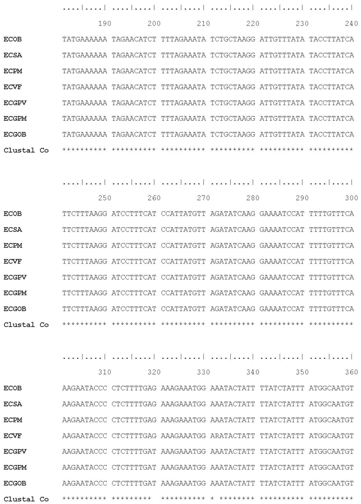 Plants 07 00043 i004