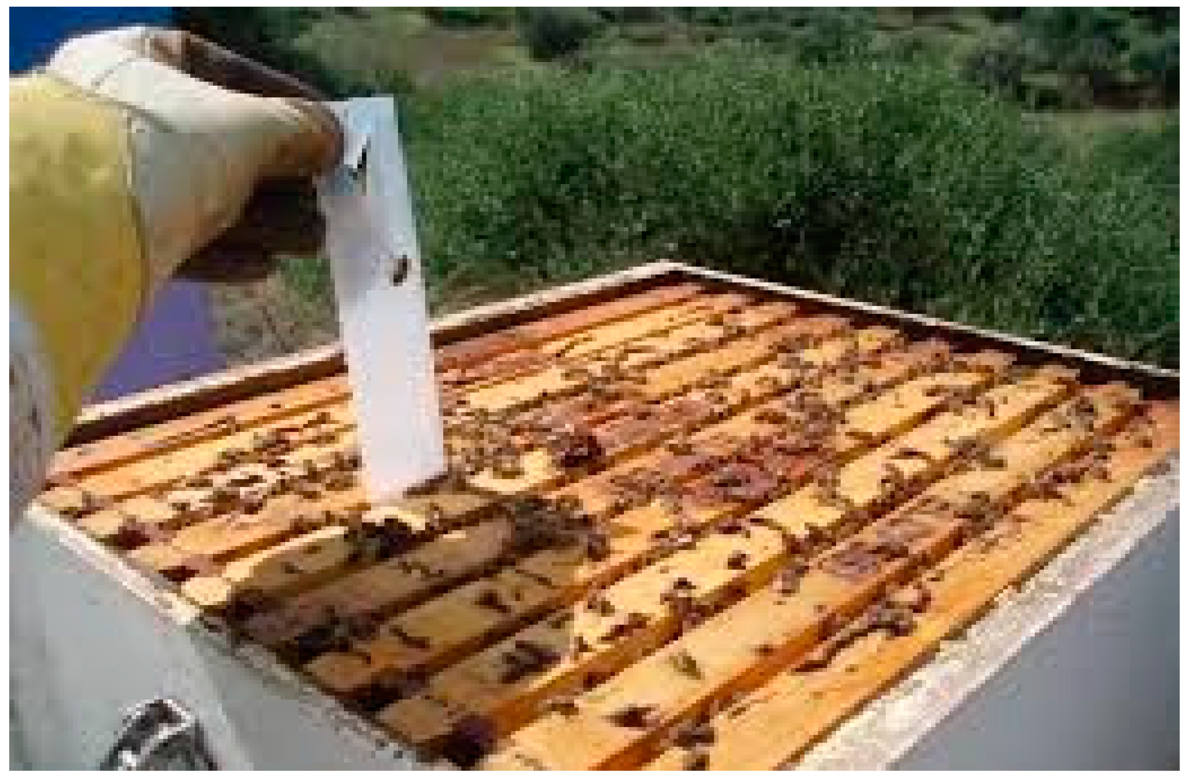 Plants 07 00044 g008