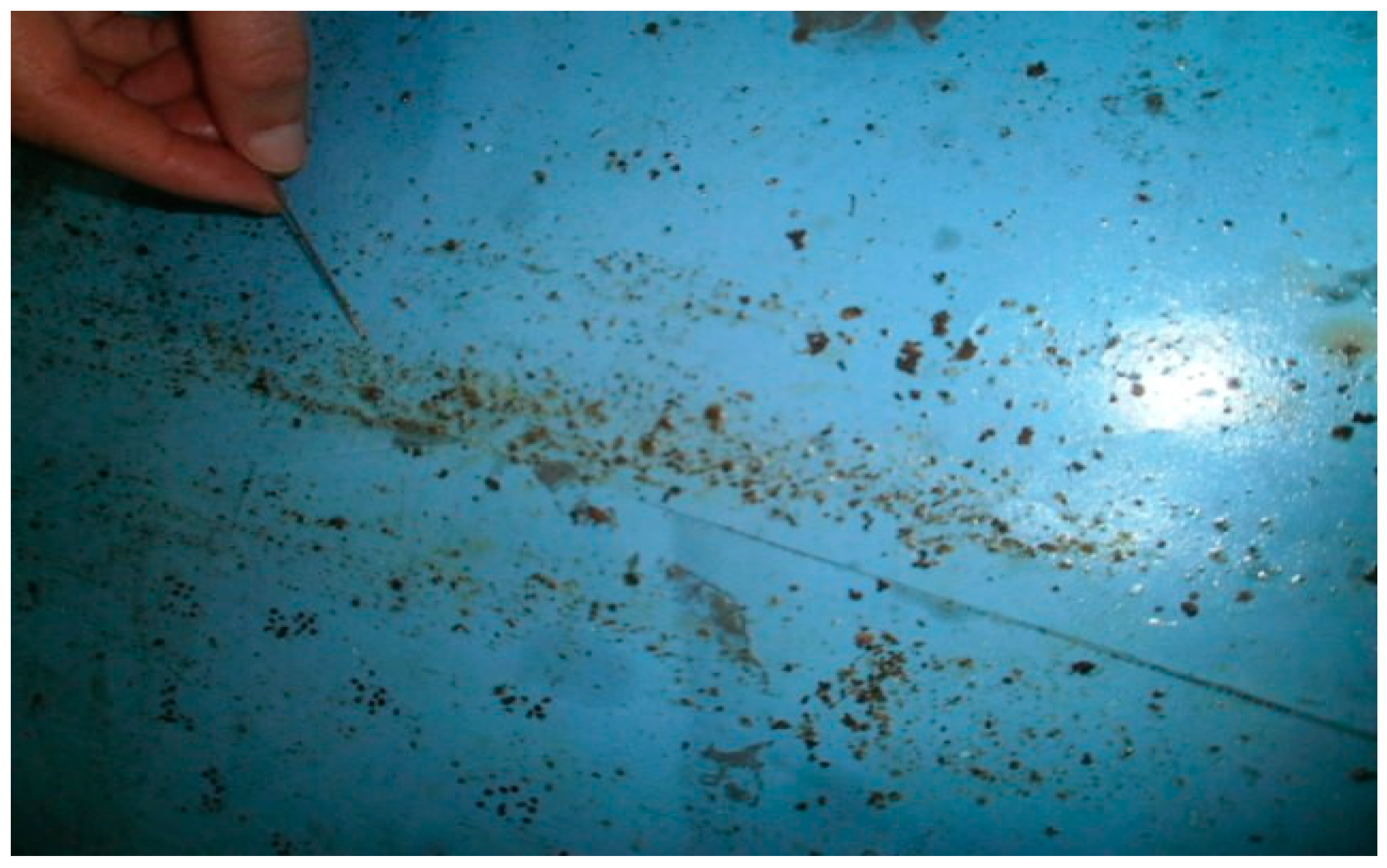 Plants 07 00044 g009