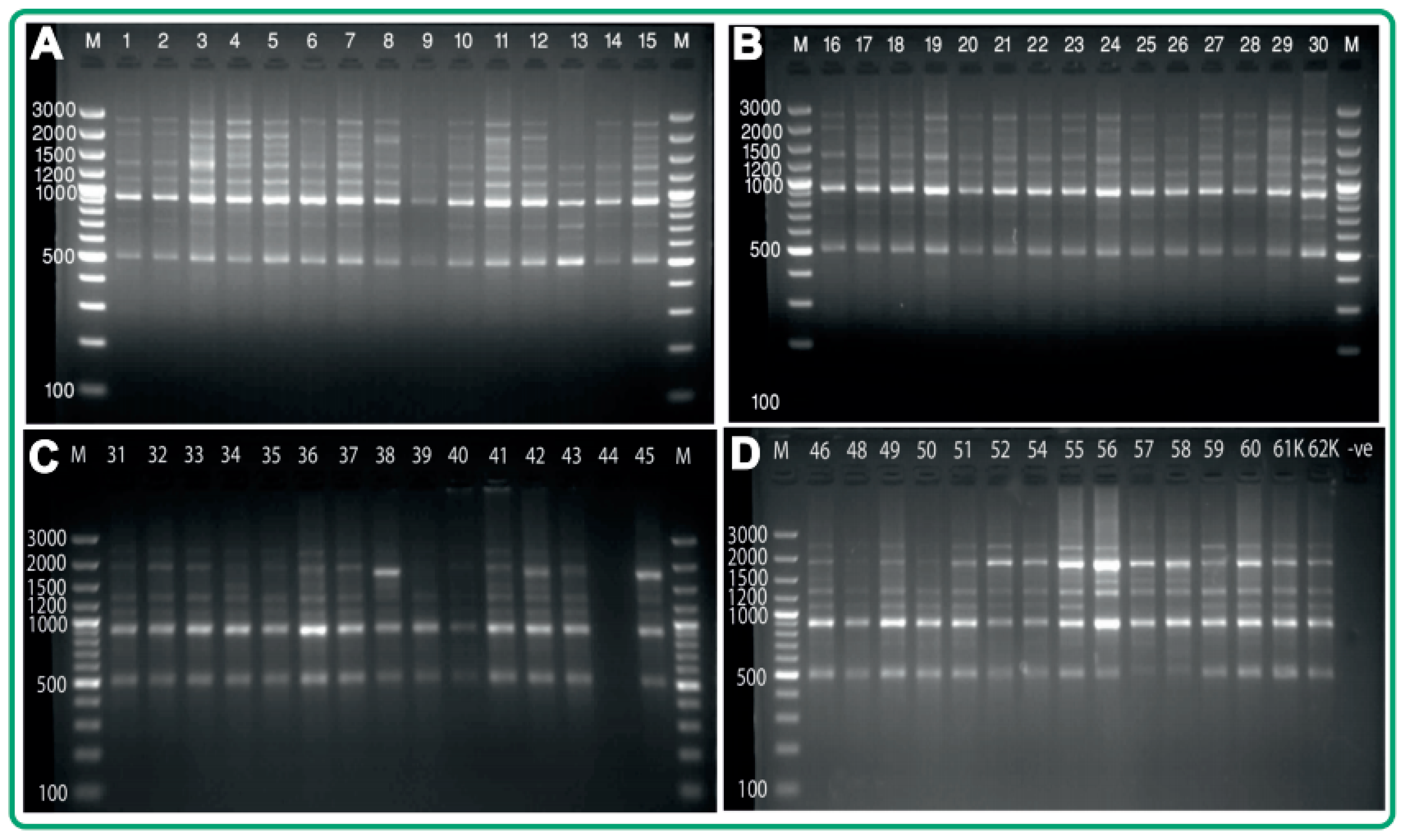 Plants 07 00046 g002