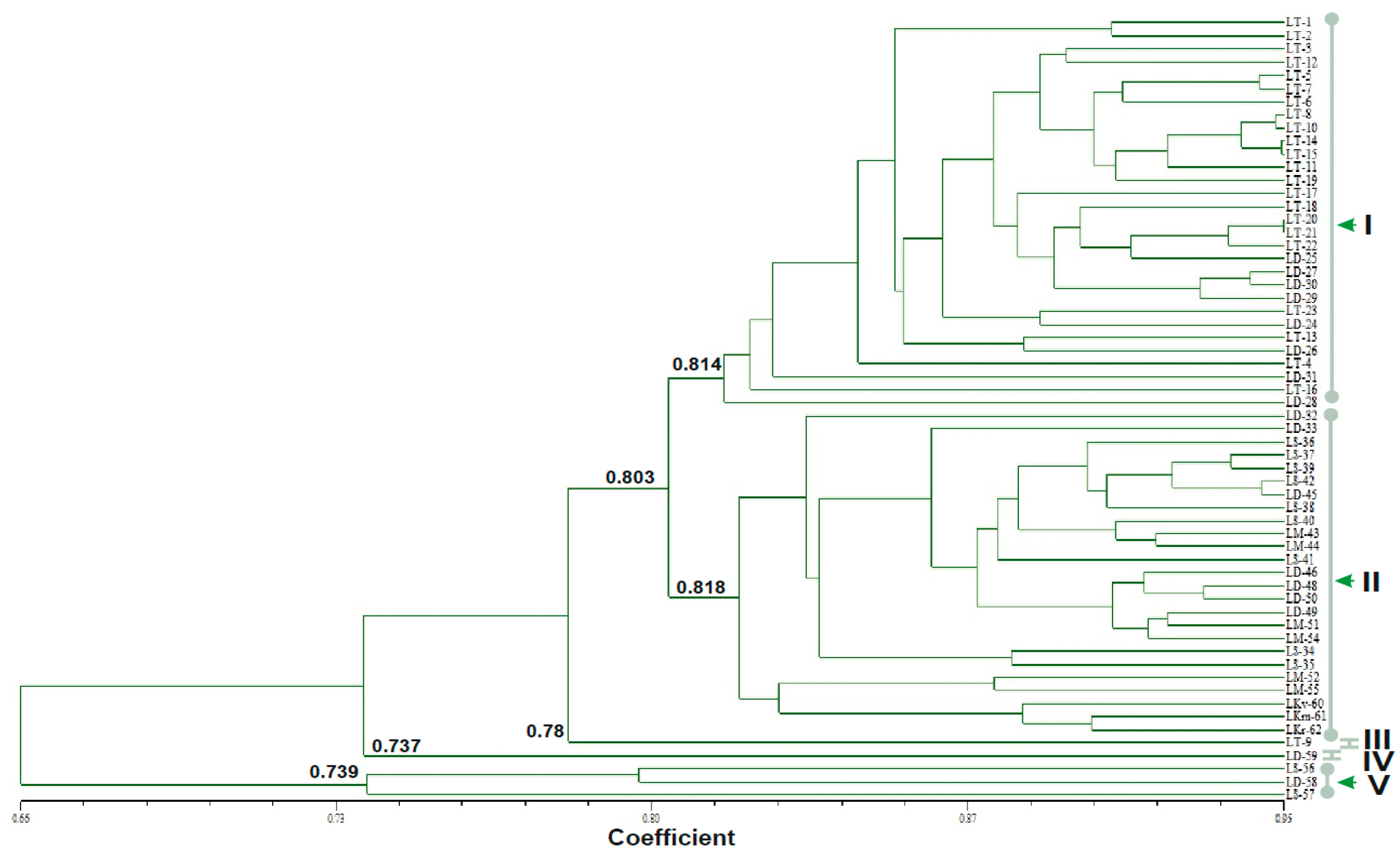 Plants 07 00046 g003