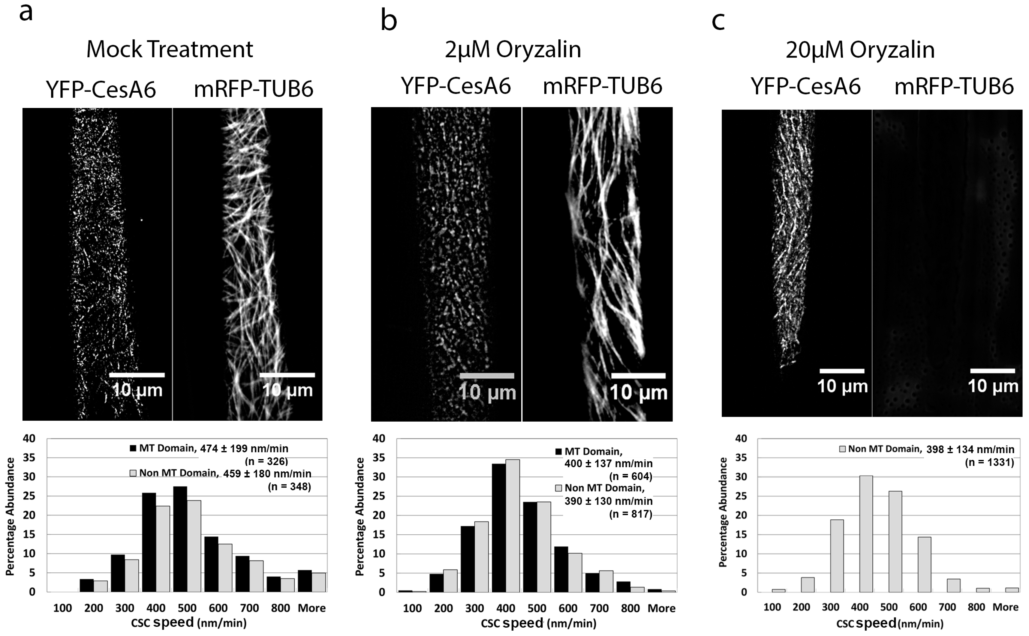 Plants 07 00053 g003