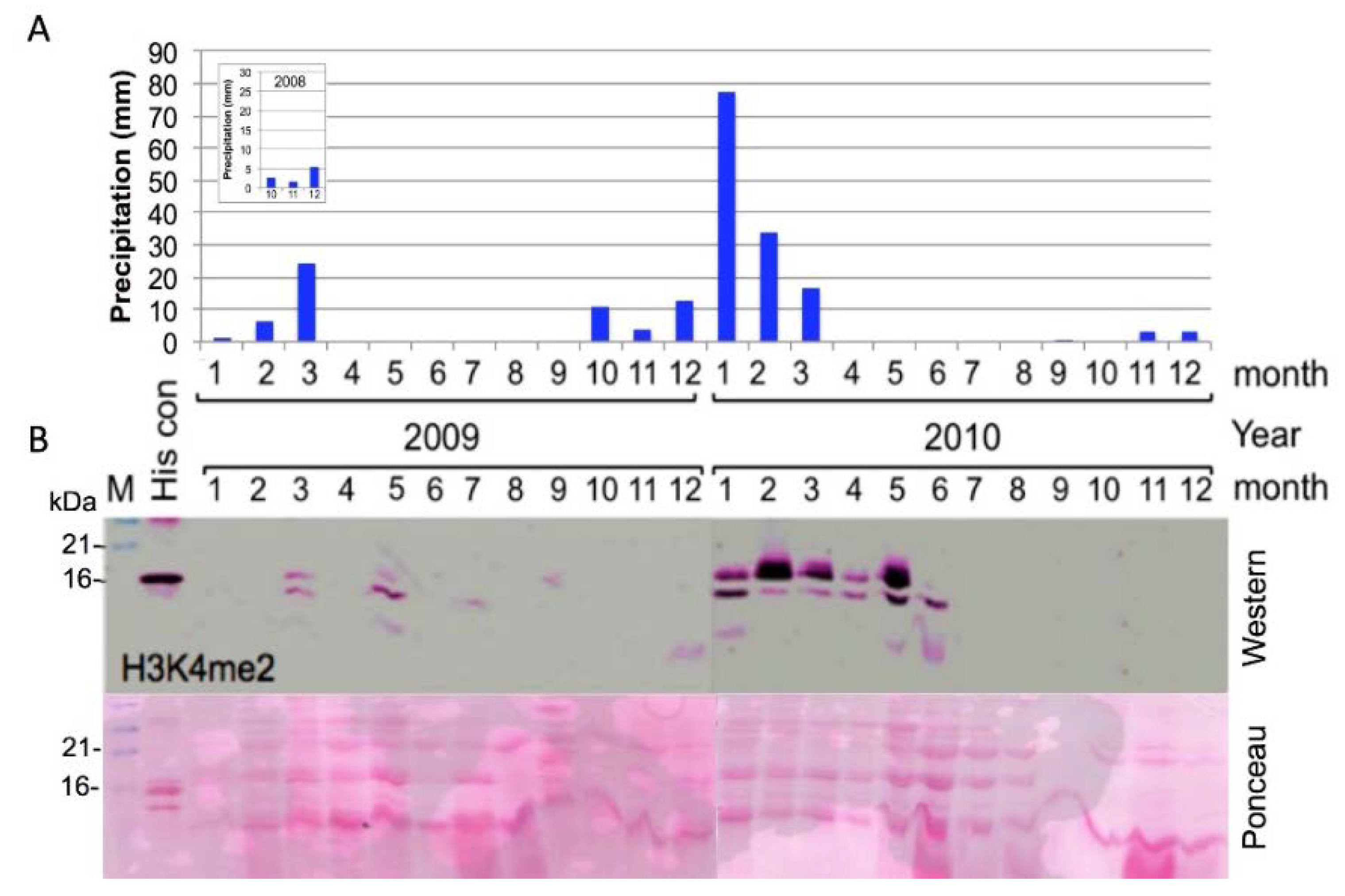 Plants 07 00059 g001