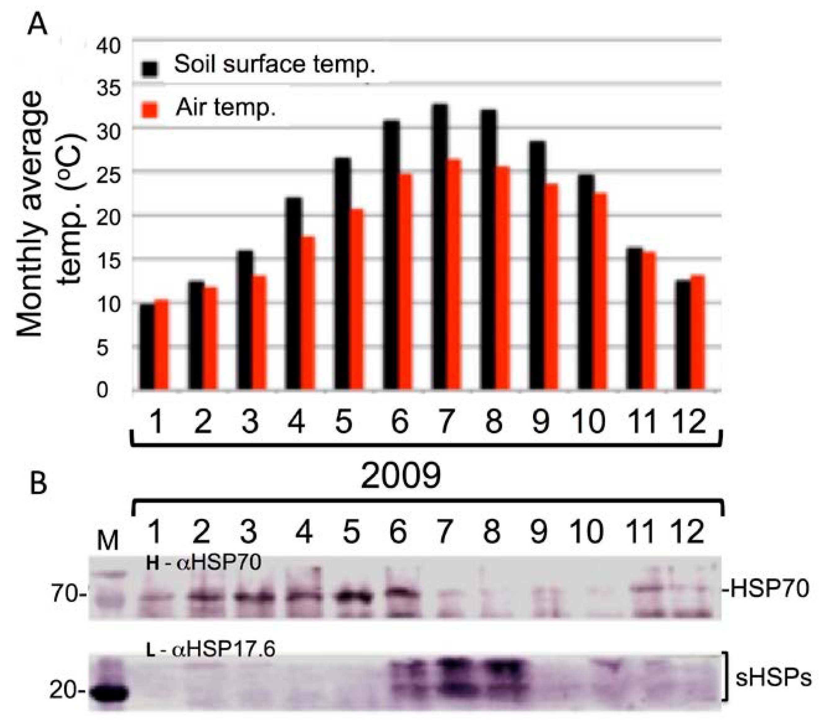 Plants 07 00059 g003