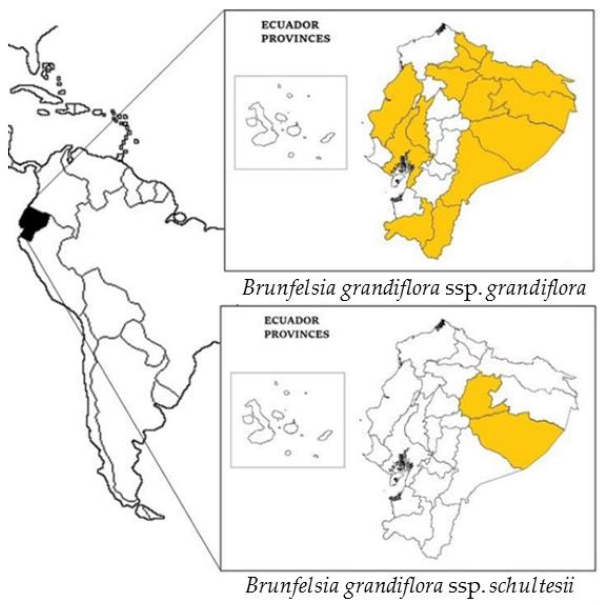 Plants 07 00067 g002