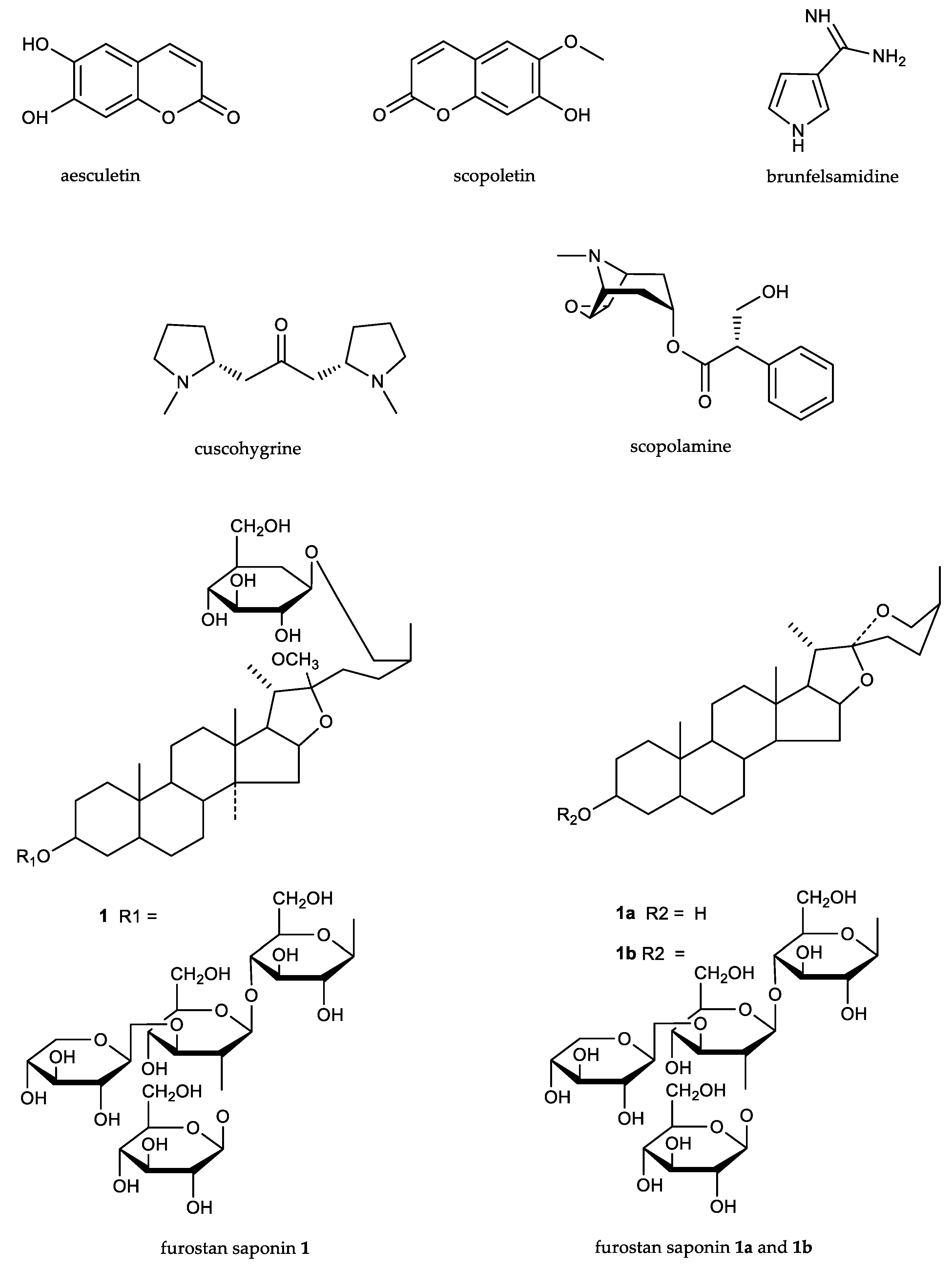 Plants 07 00067 g003