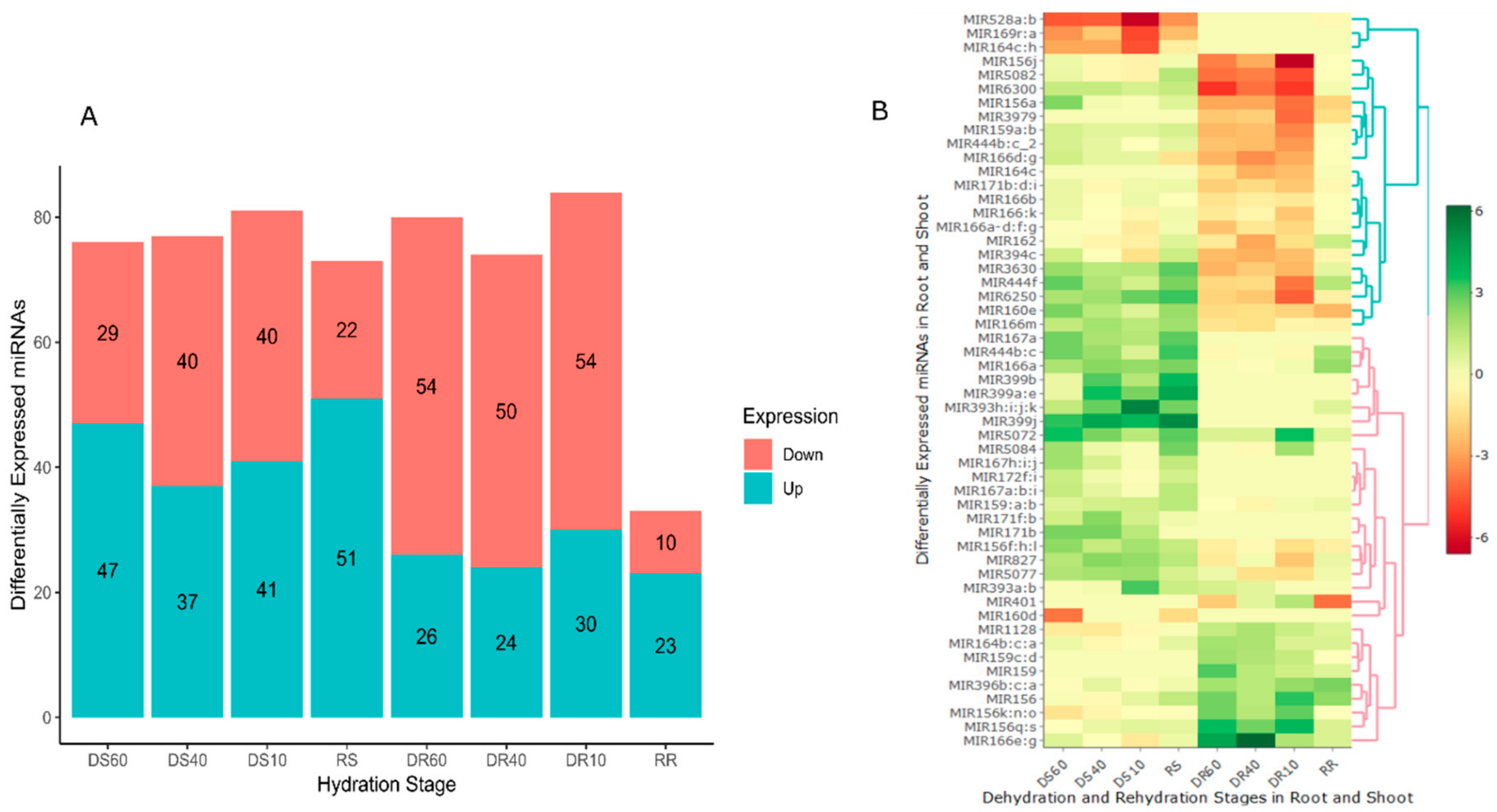 Plants 07 00068 g002