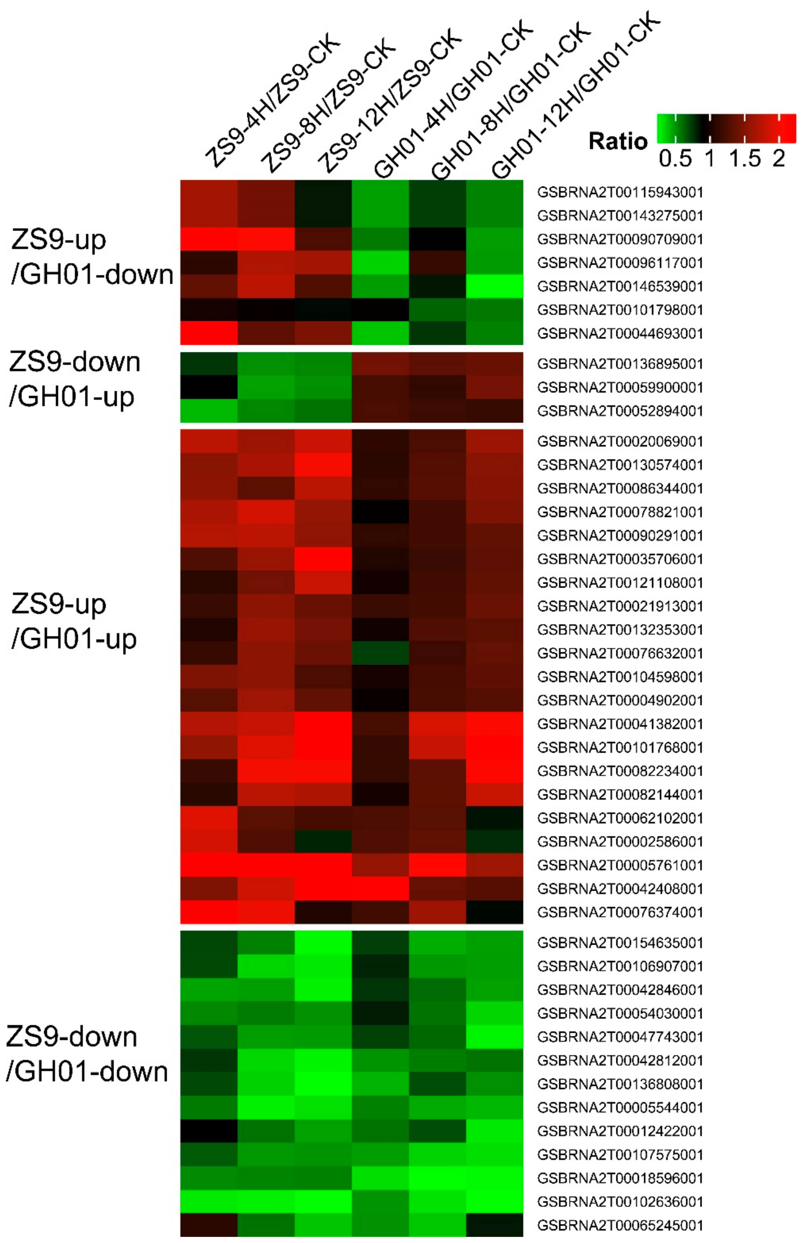 Plants 07 00071 g007