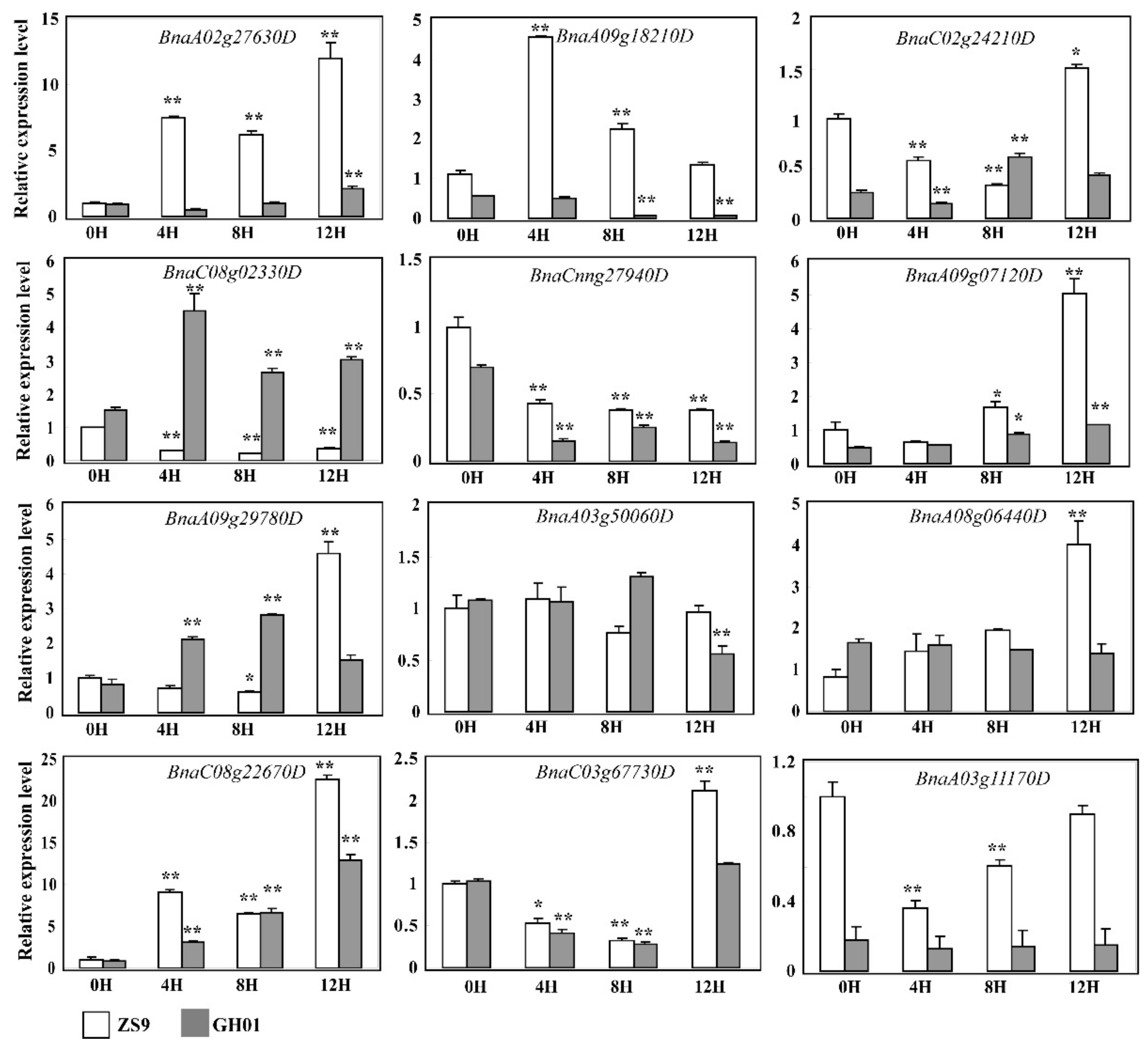 Plants 07 00071 g008