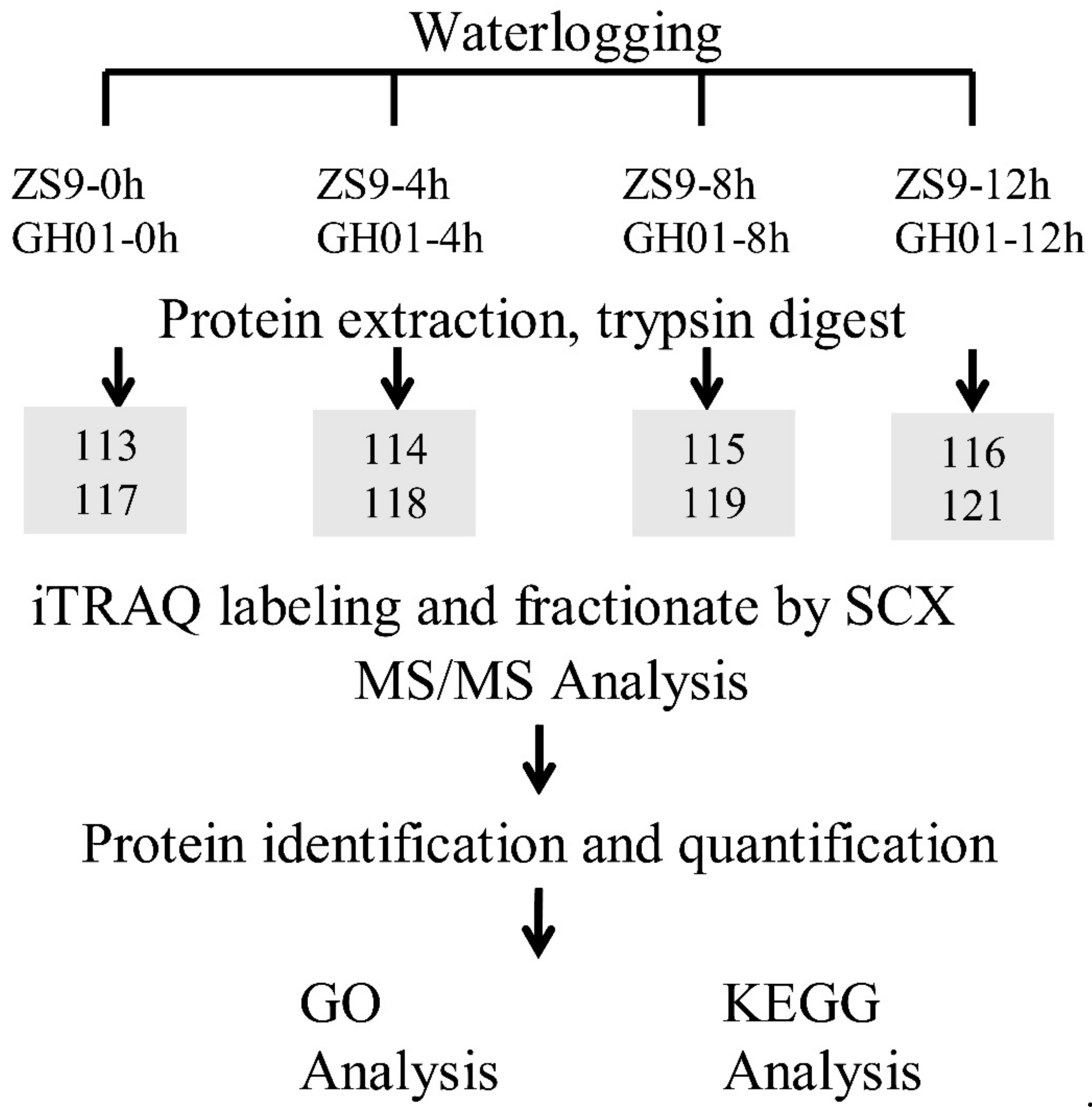 Plants 07 00071 g009