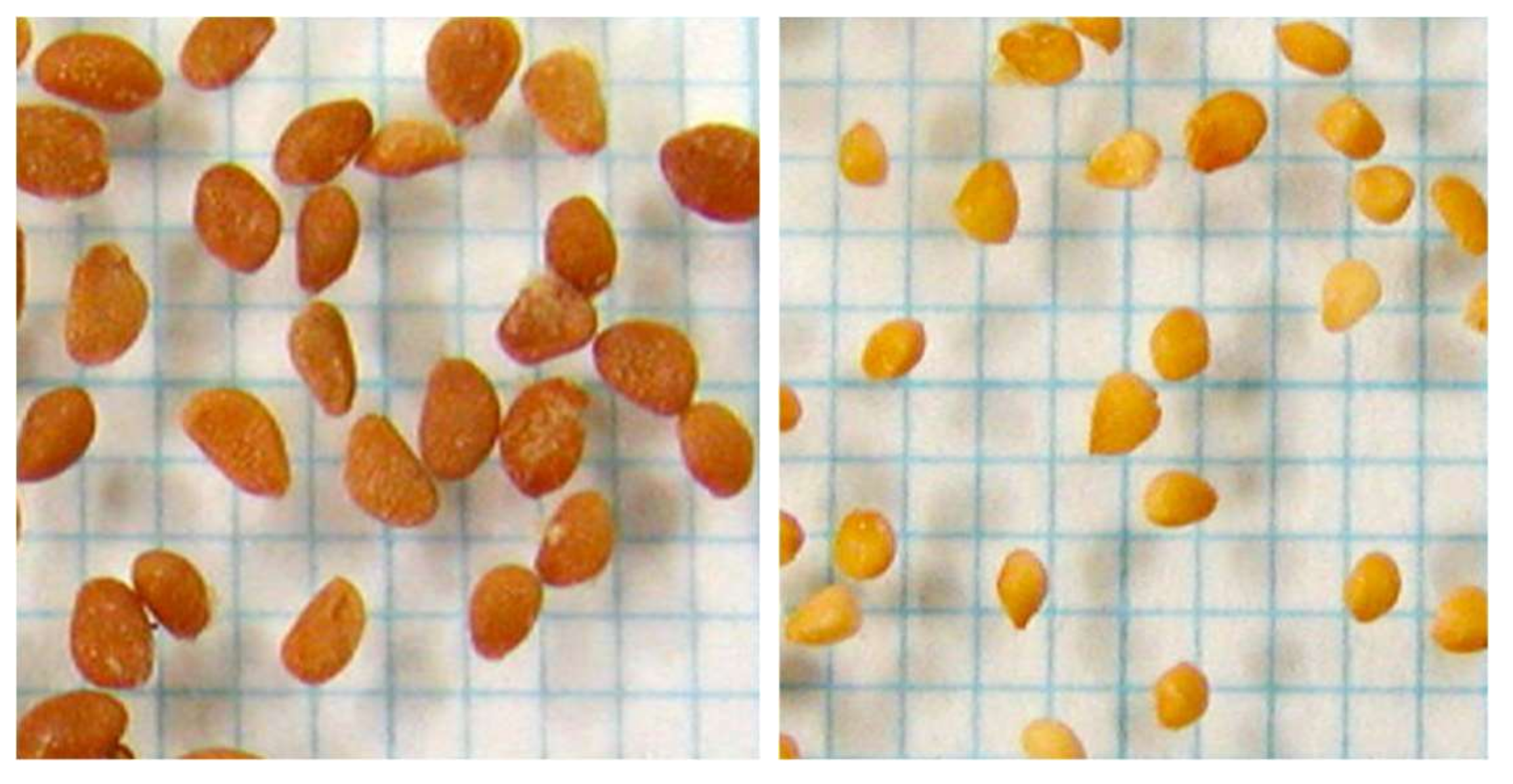 Plants 07 00096 g003