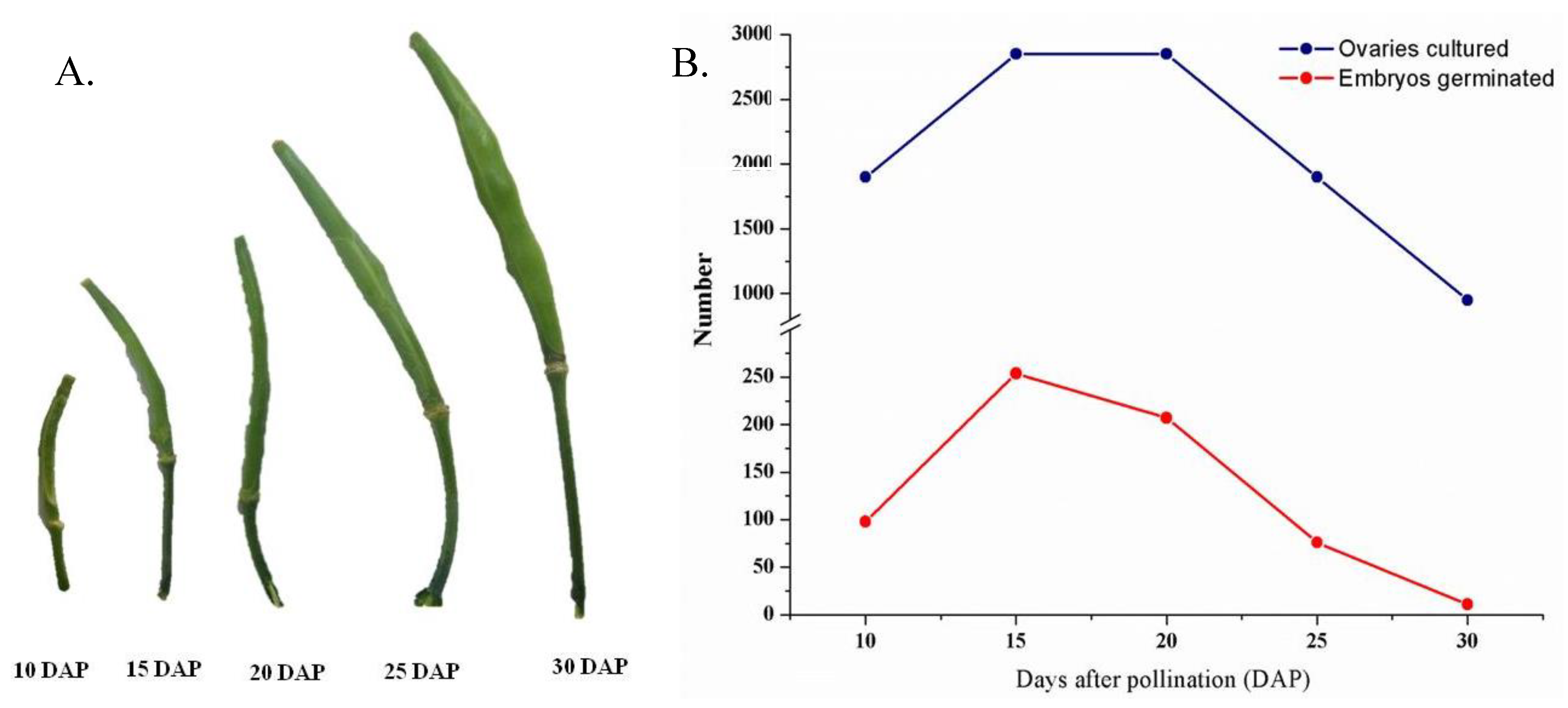 Plants 07 00099 g001
